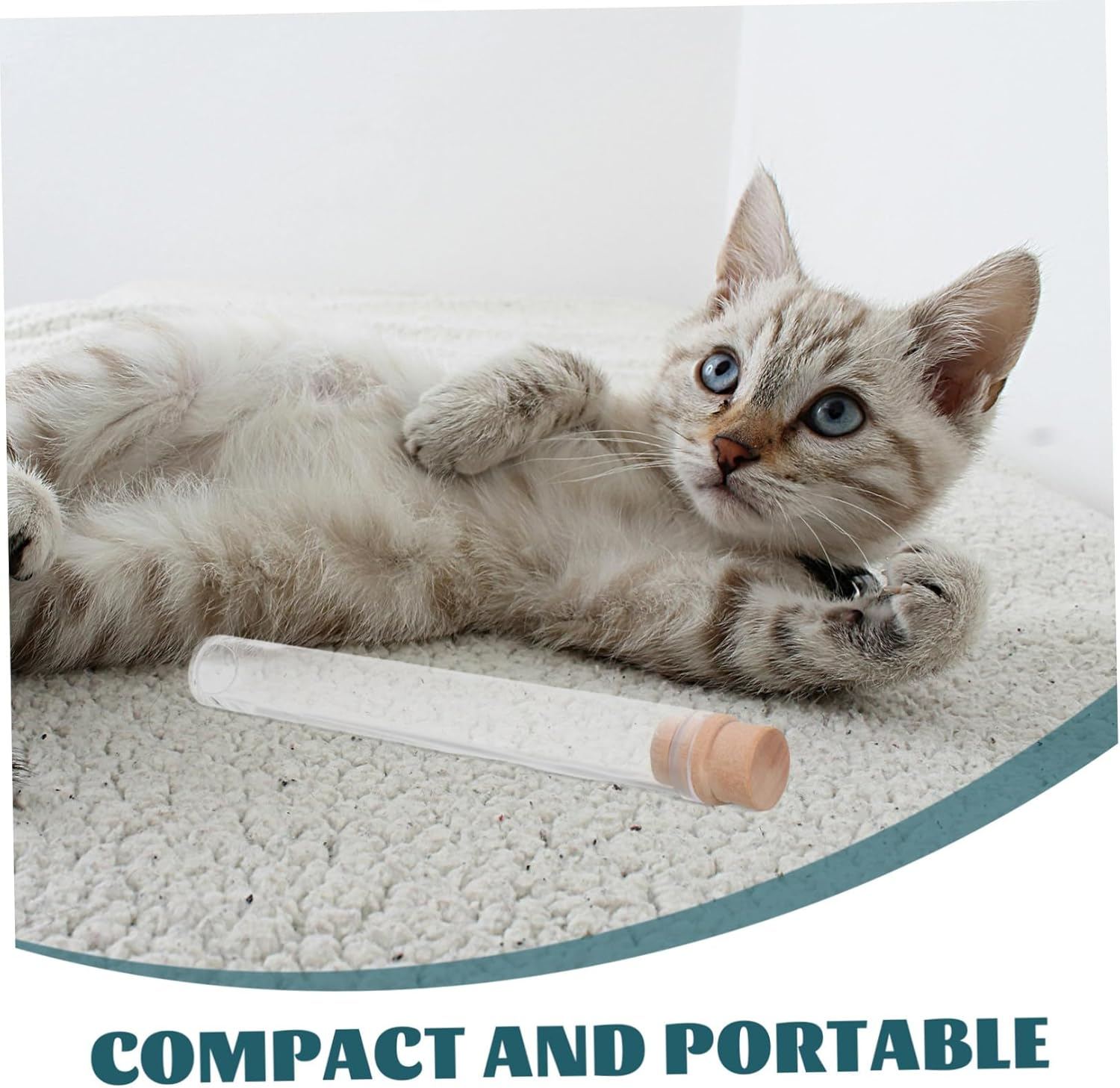 TOGEVAL 2Pcs Pet Hair Storage Bottles with Stopper Transparent Cat Whiskers and Dog Hair Keepsake Jars Portable Compact Memorial Containers for Home Display and Travel image number 4