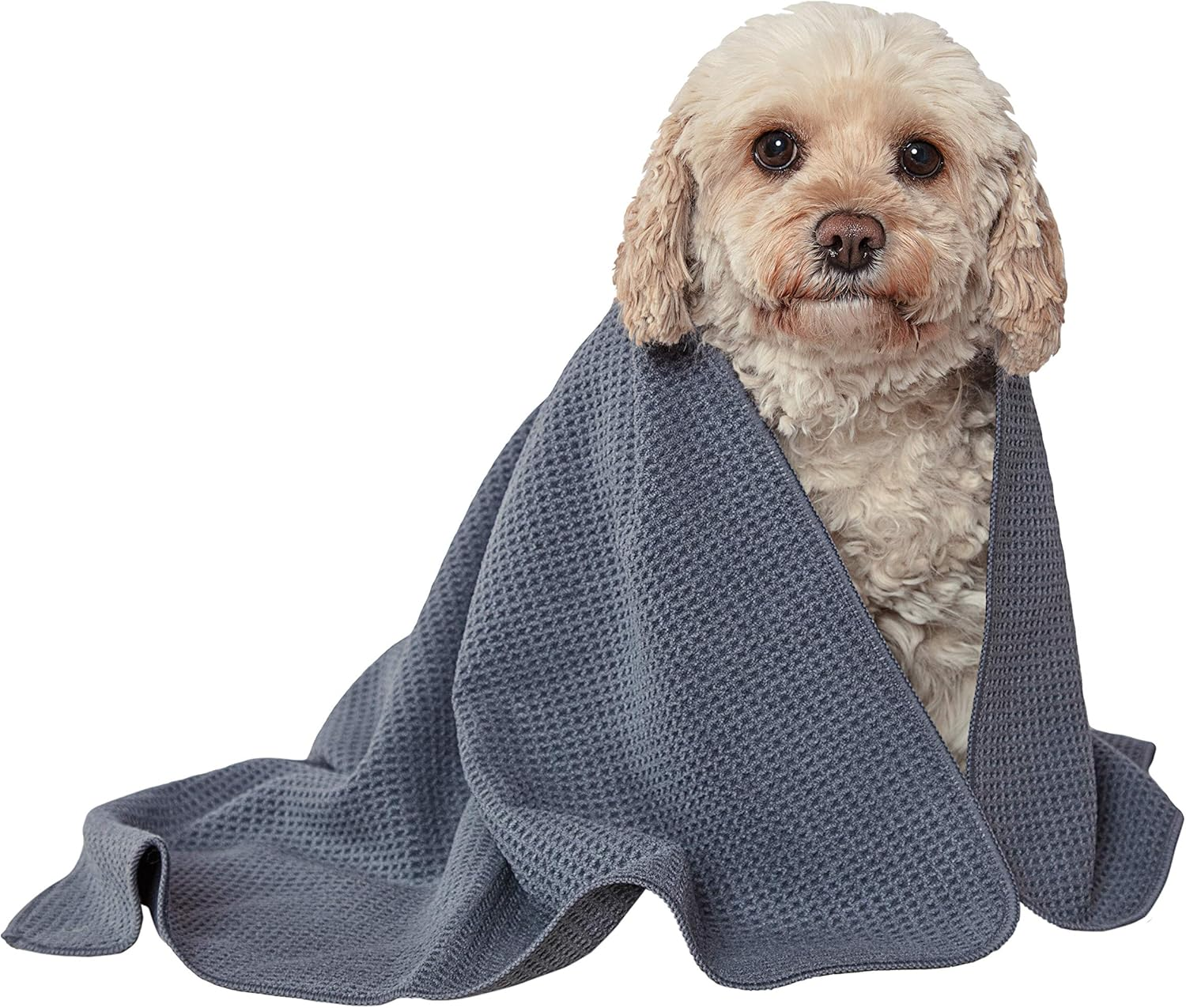 Glart Soft, Absorbent Dog Towel Pet Towel, Microfibre Dog Bath Towel 80 X 55 Cm image number 4