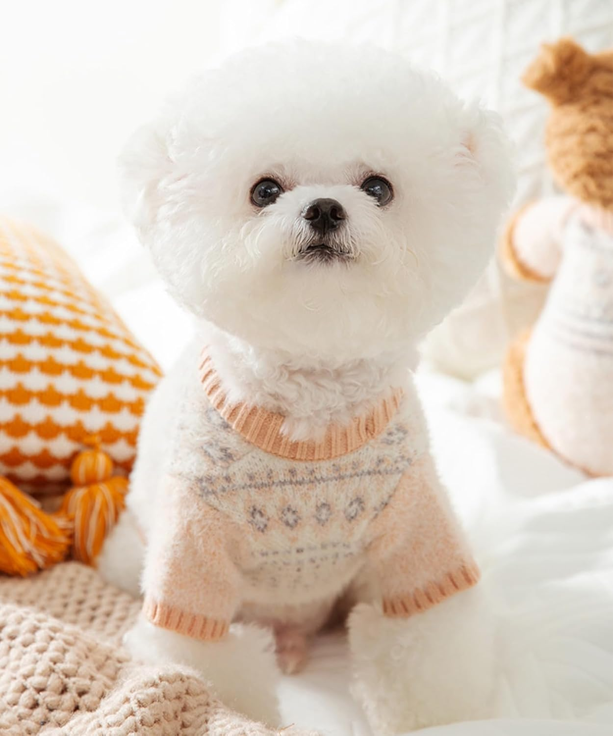 Dog Wear, Dog Clothes, Pet Clothes, Pet Clothes, Knitwear, Checked, Autumn, Winter, Spring, Diamond Pattern, Argyle, Cute Dog Knitwear (Beige, XS) image number 6