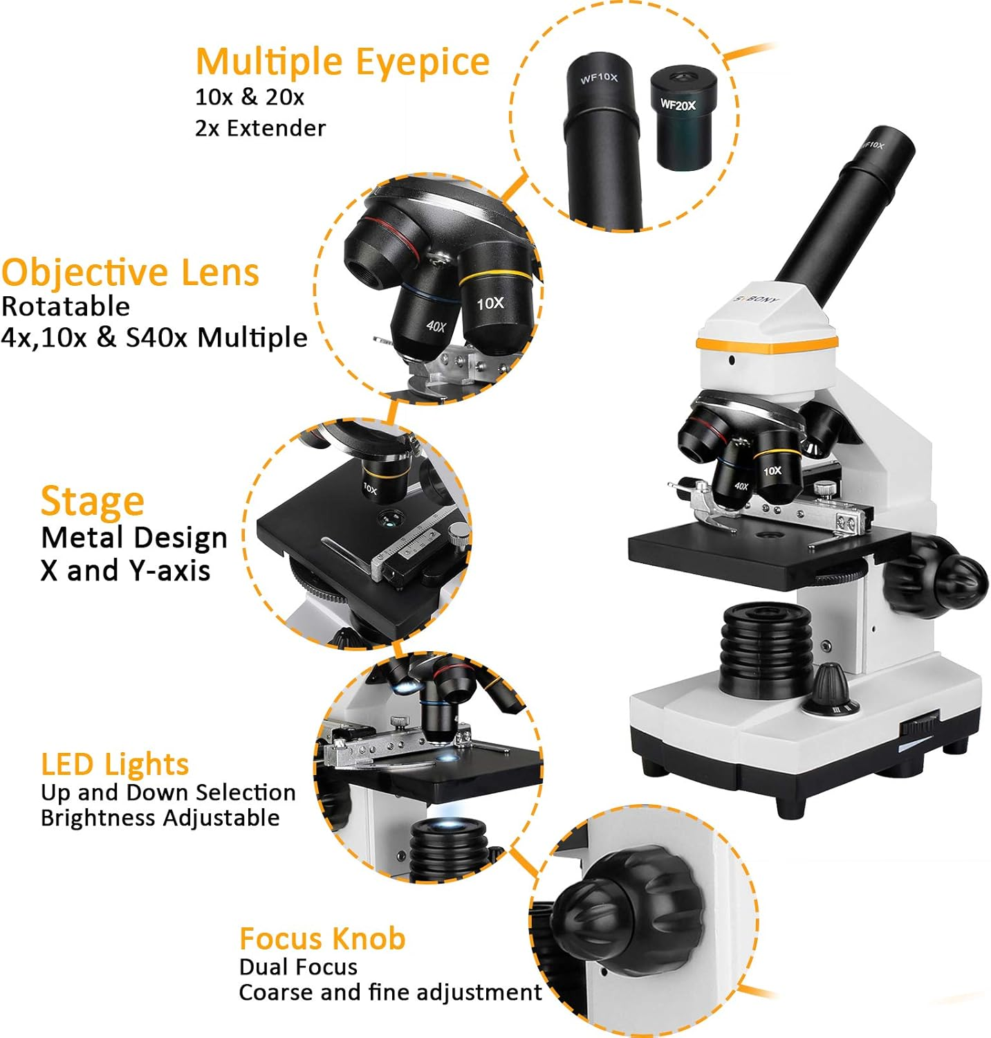 SVBONY SV601 Compound Microscope 40X-1600X, Portable Biological Electronic for Kids Adults Beginner, Dual Light, Fine Focus, Wide Field 10X 20X S40X Eyepiece for Laboratory, High School image number 5