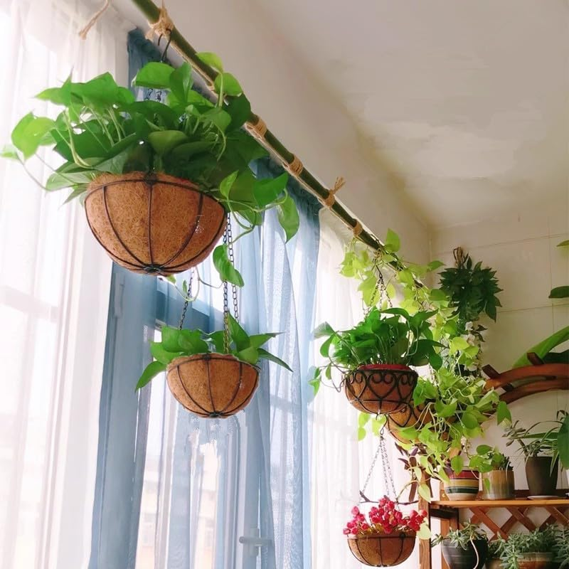4 Pack Hanging Basket for Plant Garden Outdoor, Metal Hanging Planter with Coco Liner, Hanging Coco Planter Baskets Outdoor for Flowers, Hanging Flower Pots for Garden Balcony Railings Indoor (8 IN) image number 6