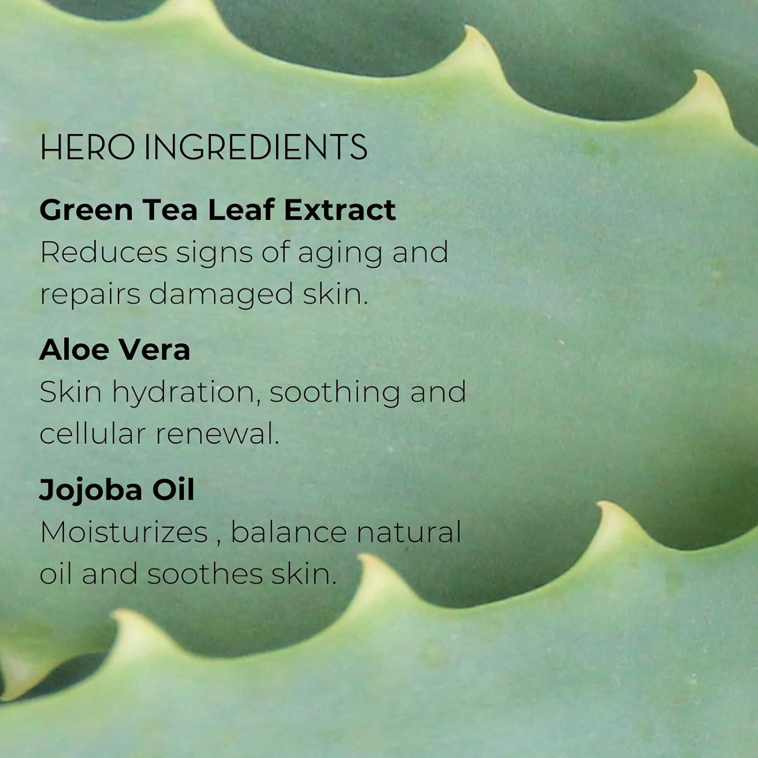 INIKA Organic Sheer Coverage Concealer | Disguise Dark Circles, Cover up Blemishes, Creamy Formula, Vegan Ingredients, All Day Wear That Hydrates and Nourishes. (Sand) image number 2