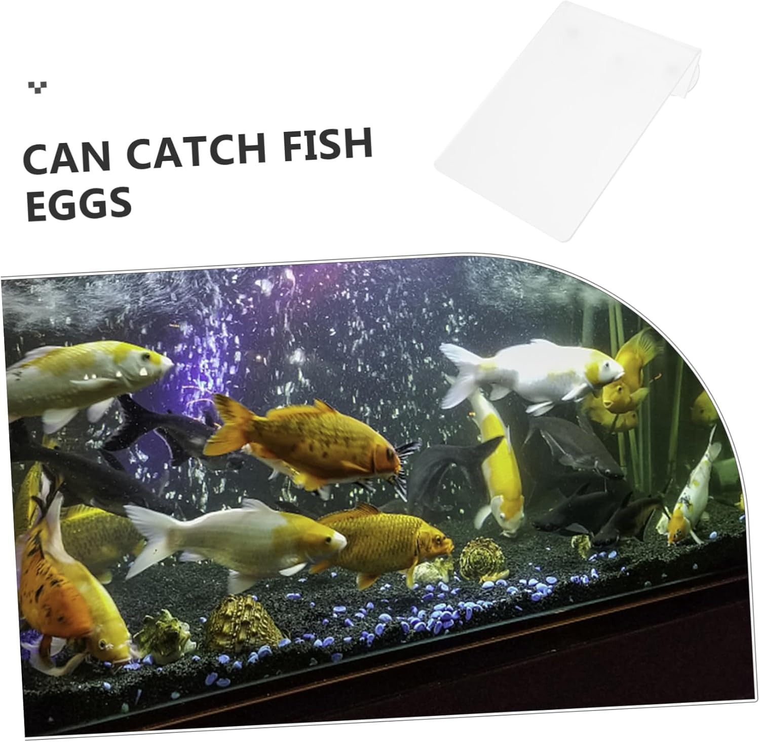 Yardwe Fish Breeding Safety Plate Aquarium Spawning Box Lightweight Acrylic Breeding Tank for Fish Tank Aquatic Pets image number 5