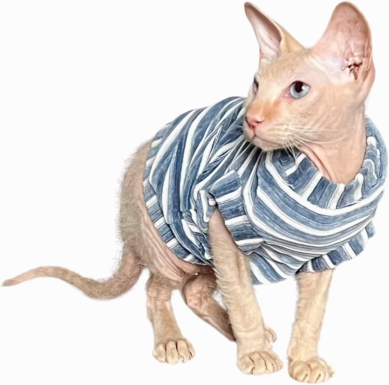 Kotomoda Cat'S T-Shirt Corduroy Dusty Blue for Sphynx and Naked Cats (Small) image number 6