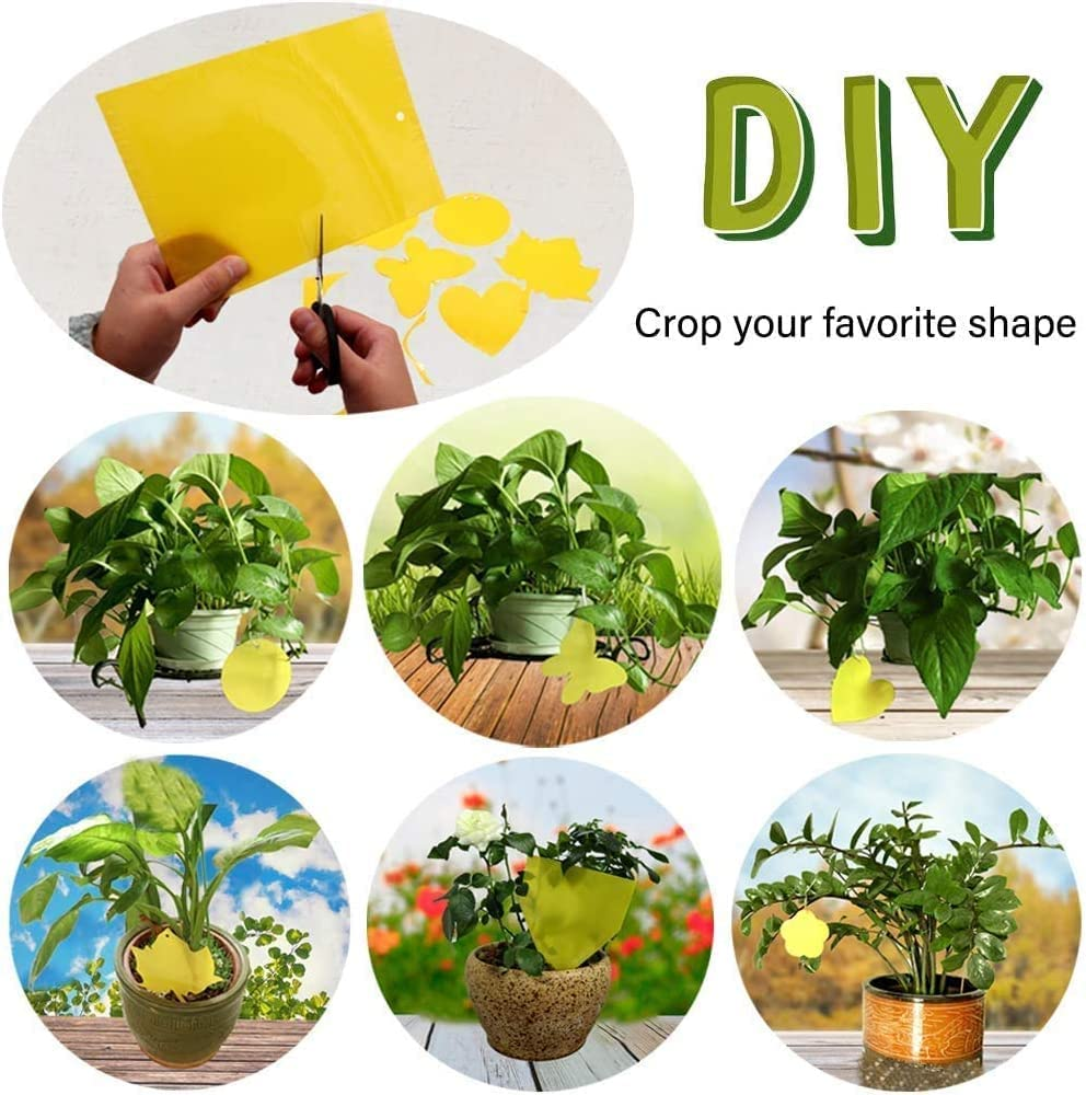 20 Pack Dual-Sided Yellow Sticky Traps for Capturing Flying Plant Insects like Fungus Gnats, Flying Aphid, Whiteflies, Leaf Miners, Other Flying Plant Insects