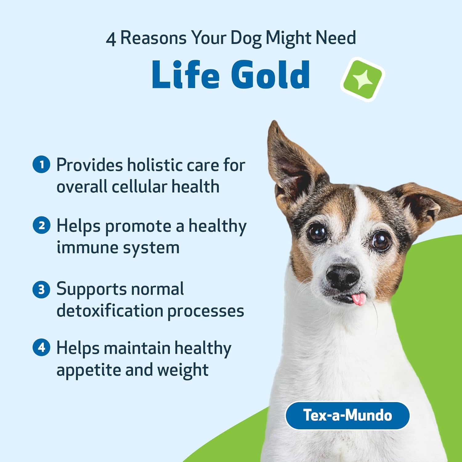 Pet Wellbeing Life Gold for Dogs - Immune Support and Antioxidant Protection - Veterinarian-Formulated Herbal Supplement 2 Oz (59 Ml) image number 6
