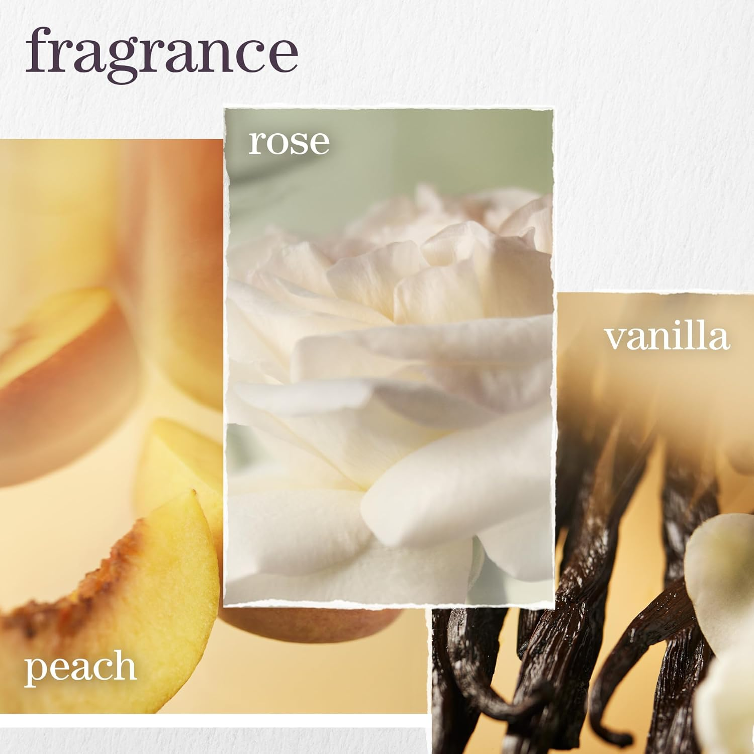 Pureology Strength Cure Blonde Purple Shampoo - for Blonde & Lightened Color-Treated Hair, Tones & Fortifies Brassy Hair, Sulfate-Free & Vegan | 266Ml image number 4