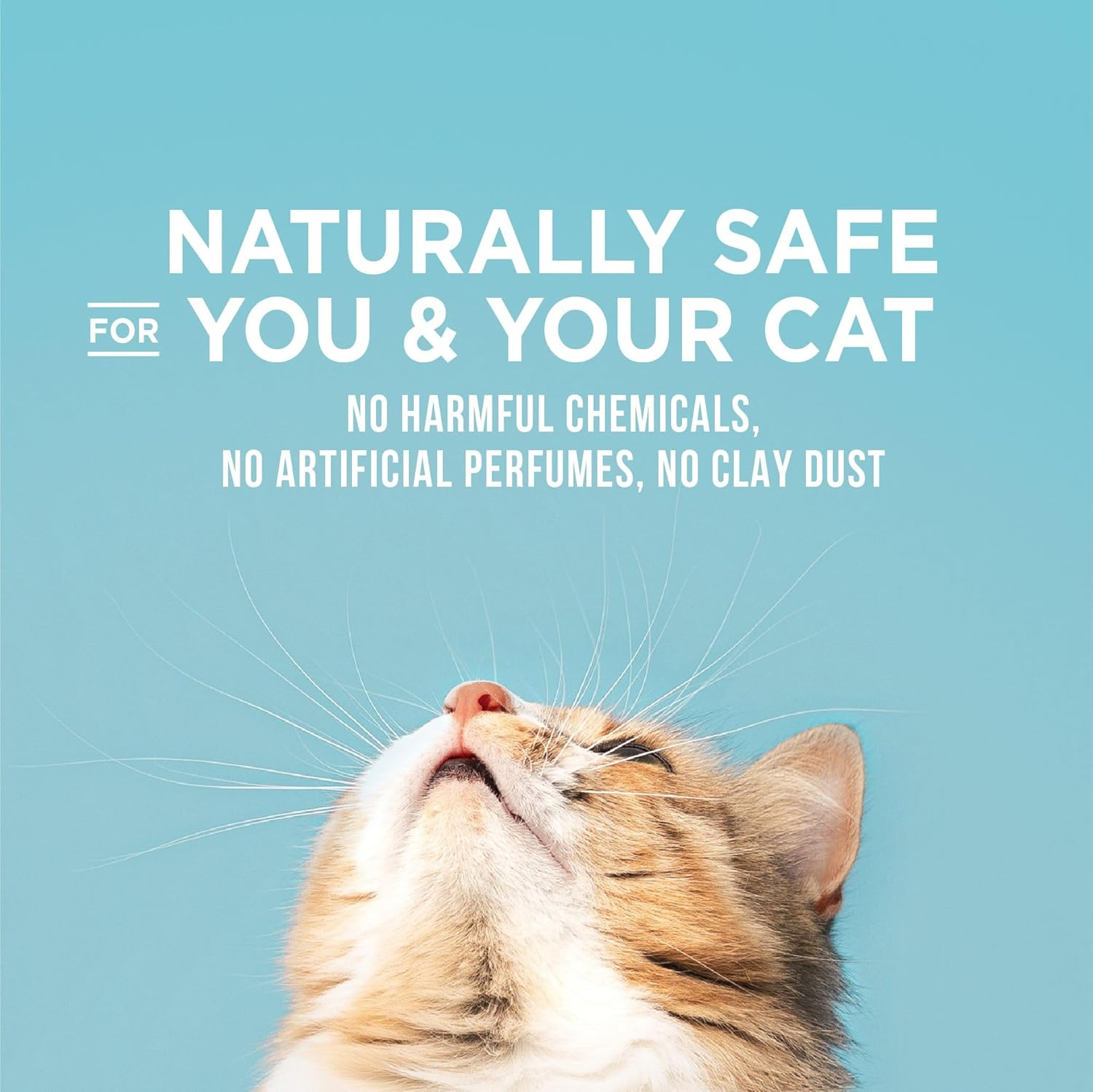 World'S Best CAT Litter Poop Fighter Maximum Odor Defense, 8-Pounds - Natural Ingredients, Quick Clumping, Flushable, 99% Dust Free & Made in USA - Long-Lasting Odor Control & Easy Scooping image number 4