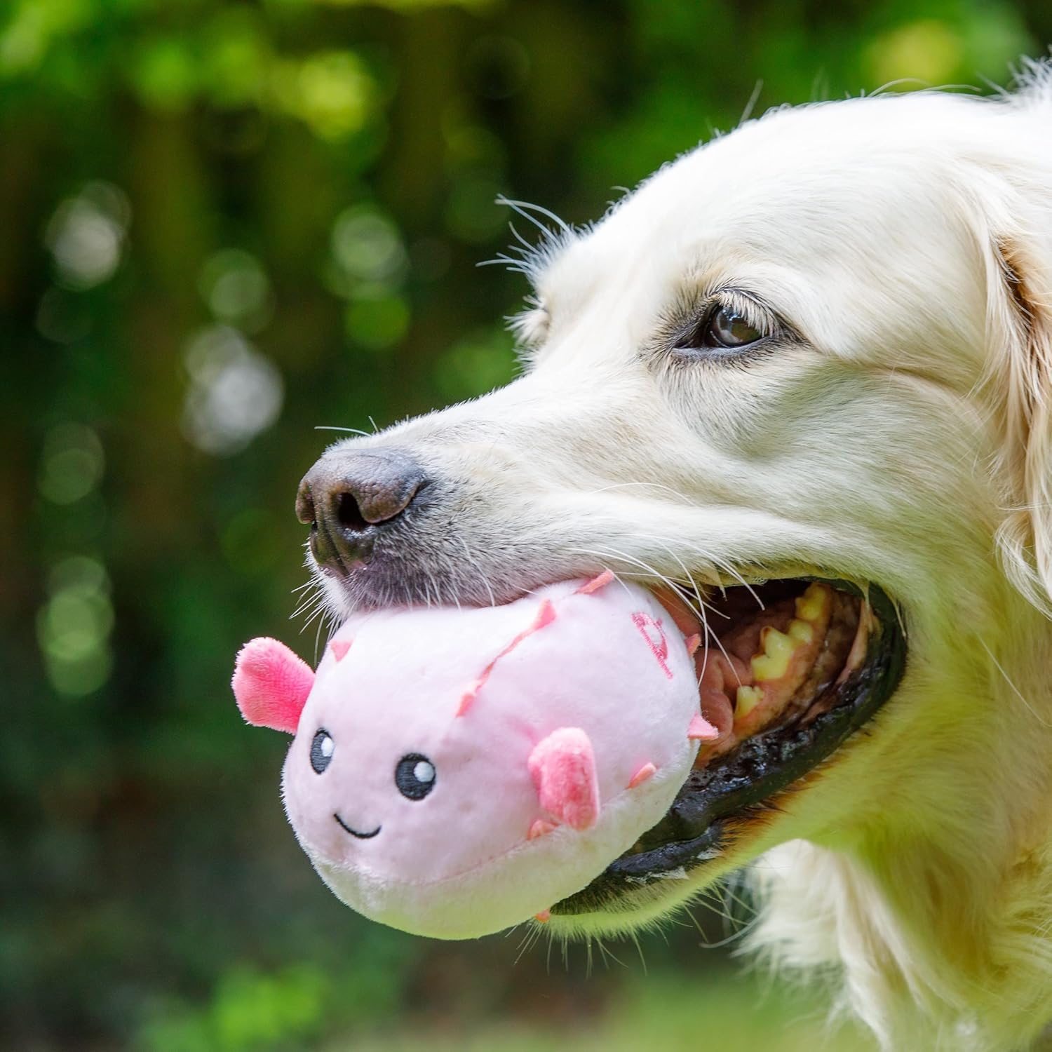 Petface Planet Plush Pippa Puffa Fish Eco Friendly Dog Toy image number 1