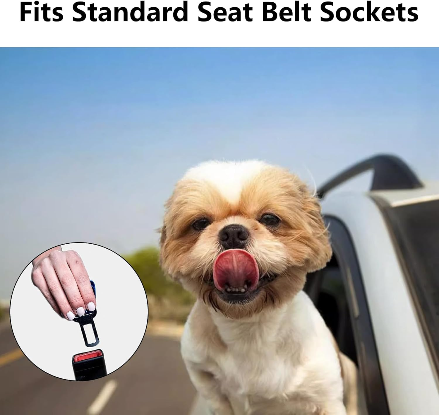 Adjustable Dog Seat Belt&mdash; 20-35 Inch Small Dog Harness with Extendable Bungee Leash .For Car Travel and Dog Carrier Pet Safety Vehicle Accessories/Black image number 1