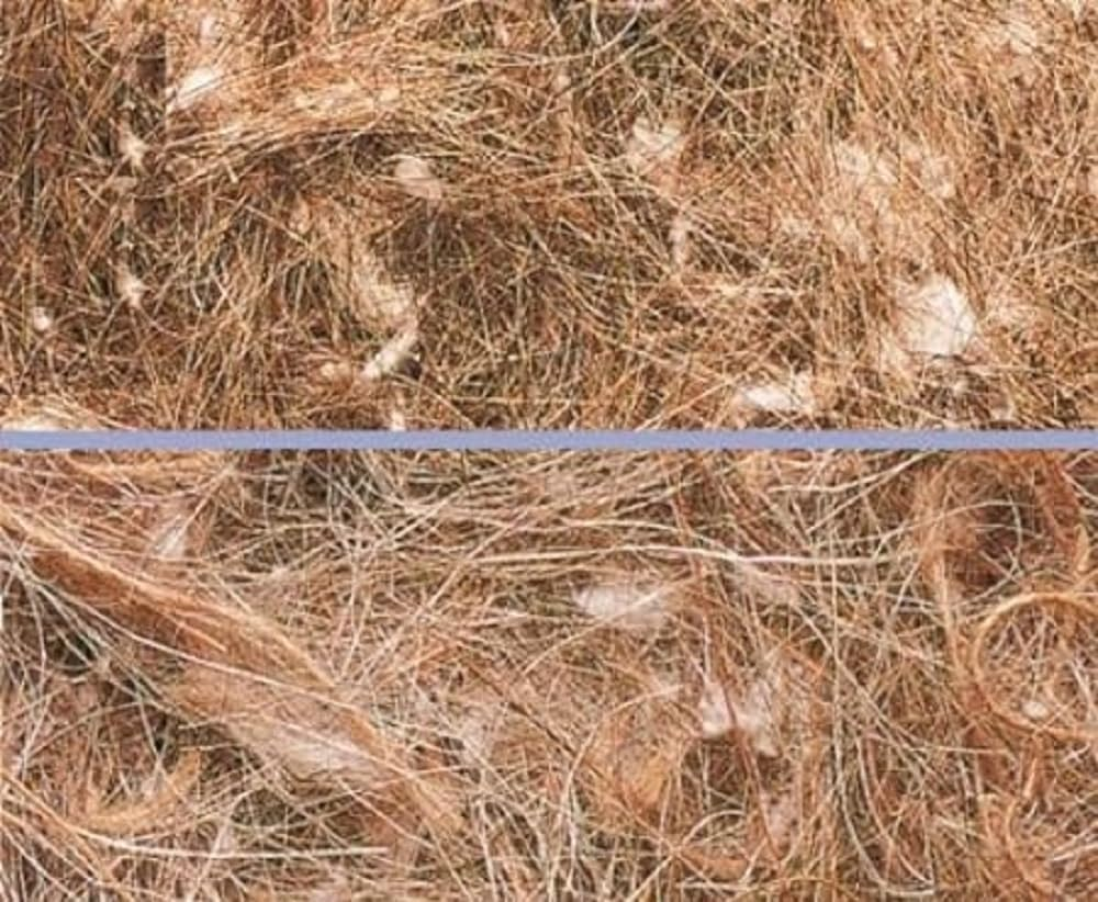 Nobby Animal Plant Nesting Equipment for Birds 500G image number 1