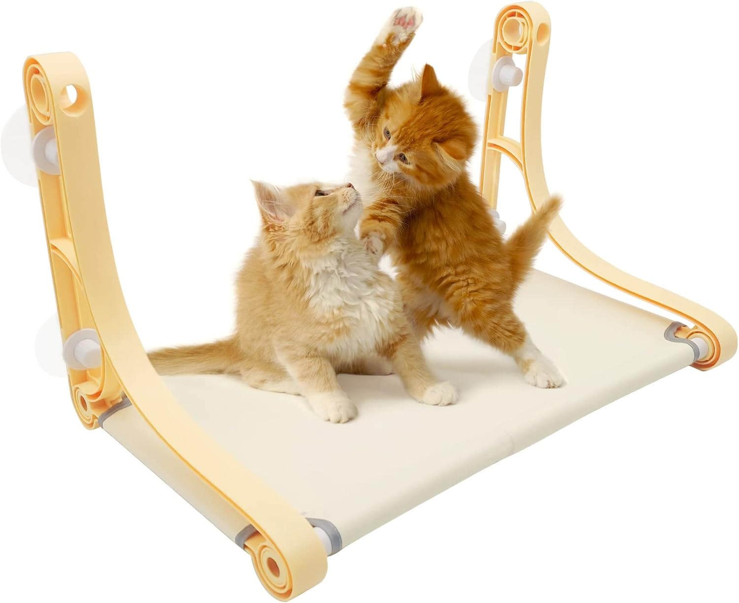 Fhiny Cat Window Perch, Cats Hammocks Seat for Indoor Cats with 2 Installation Styles Kitten Bed with Reinforced Screw Suction Cups & Shelves Space Saving Window Furniture for Small Cats Playing