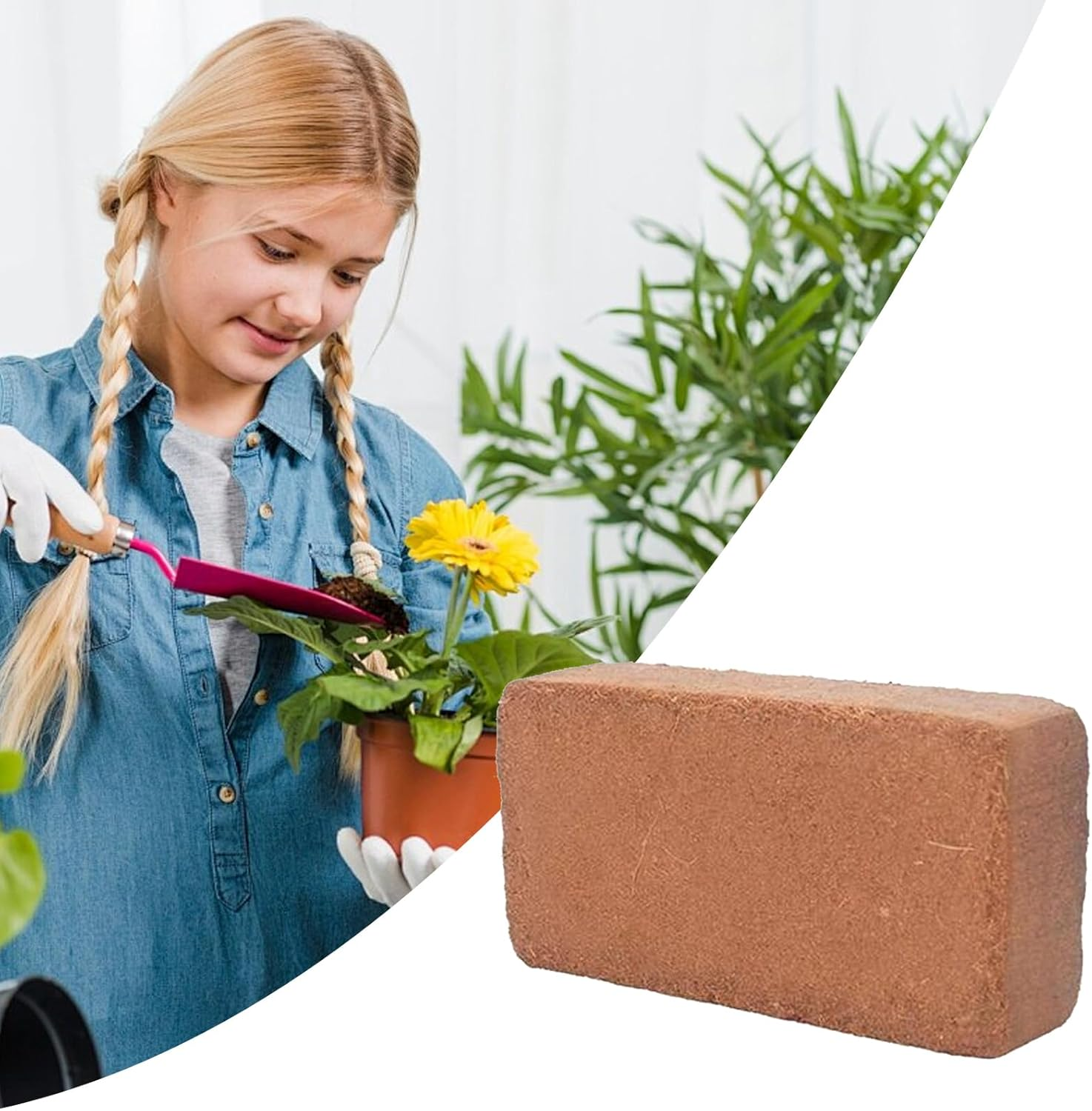 Coco Brick - Coco Peat | Ph-Balanced Supplies Potting Flower Soil for Indoor Outdoor Gardening Vegetables Houseplants image number 6