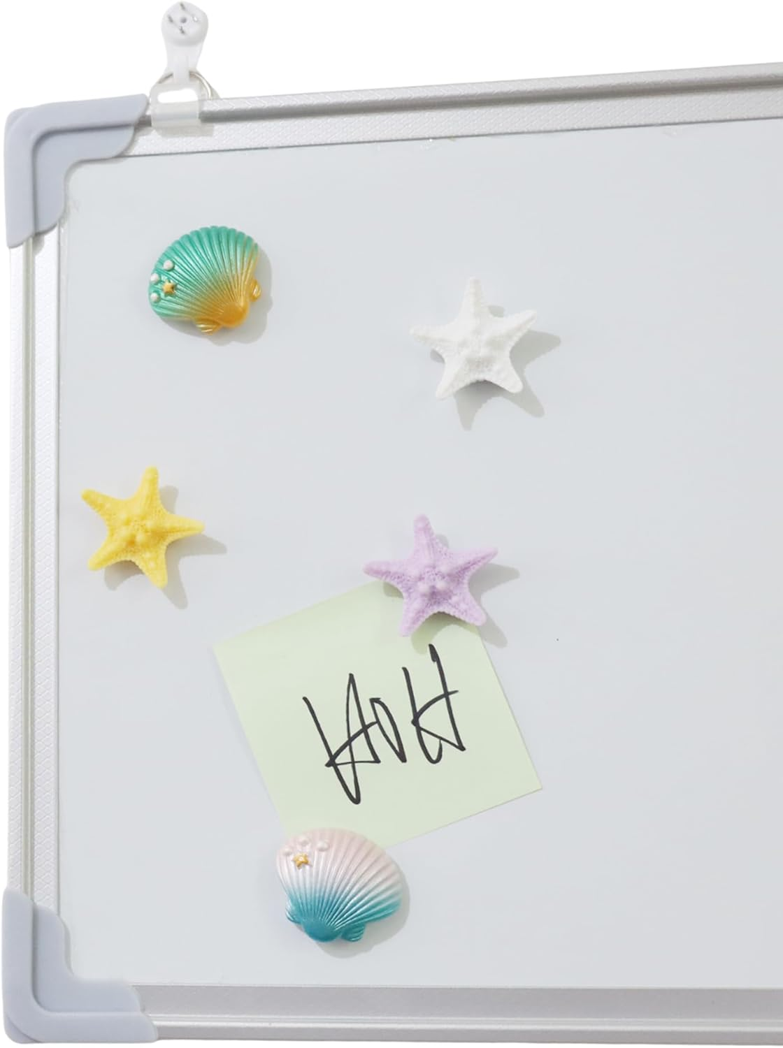 12Pcs Shell and Starfish Fridge Magnets,Cute Refrigerator Magnet,Colorful Whiteboard Magnet,Small Magnets for Office Kitchen Locker Decorations image number 1