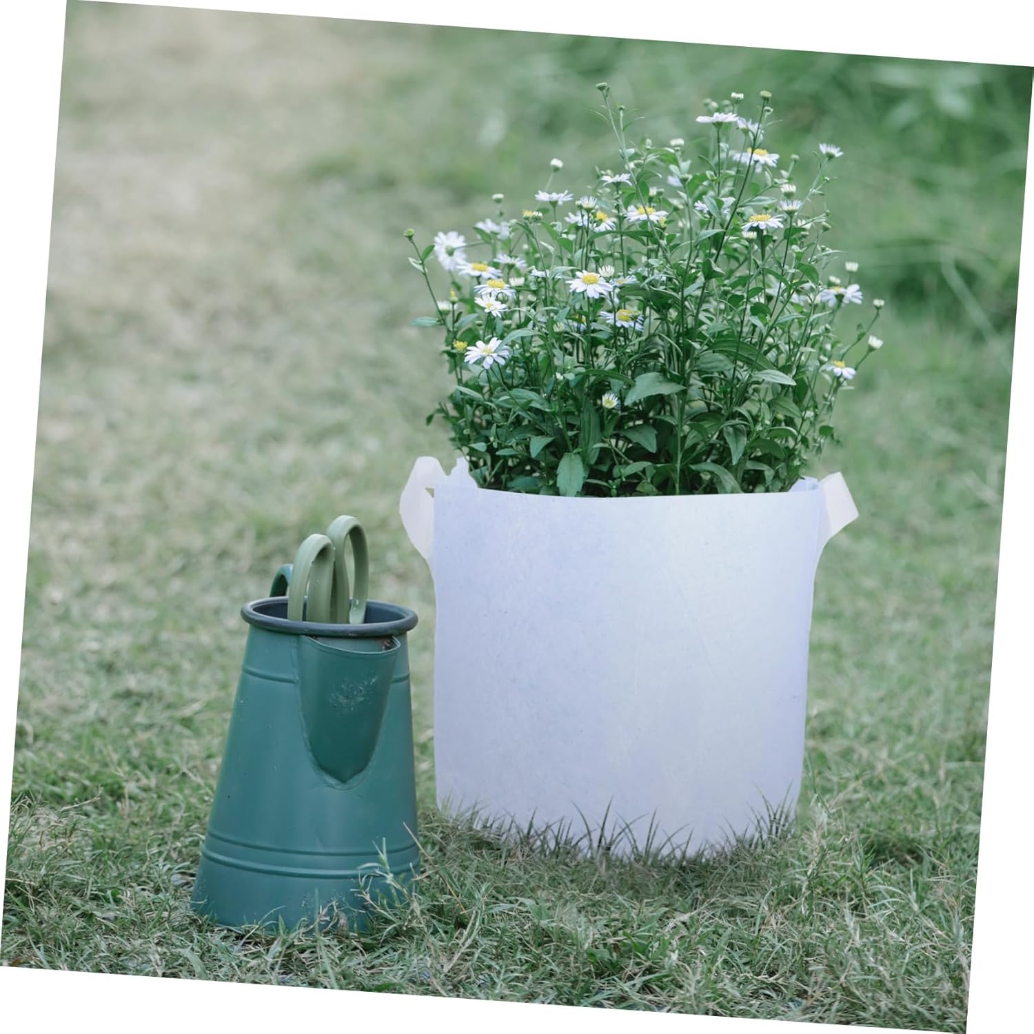 DECOMELODY 10Pcs Non-Woven Fabric Plant Growing Bags for Potatoes Tomatoes and Flowers Breathable Cultivation Pouch for Healthy Root Development and Maximized Gardening Space