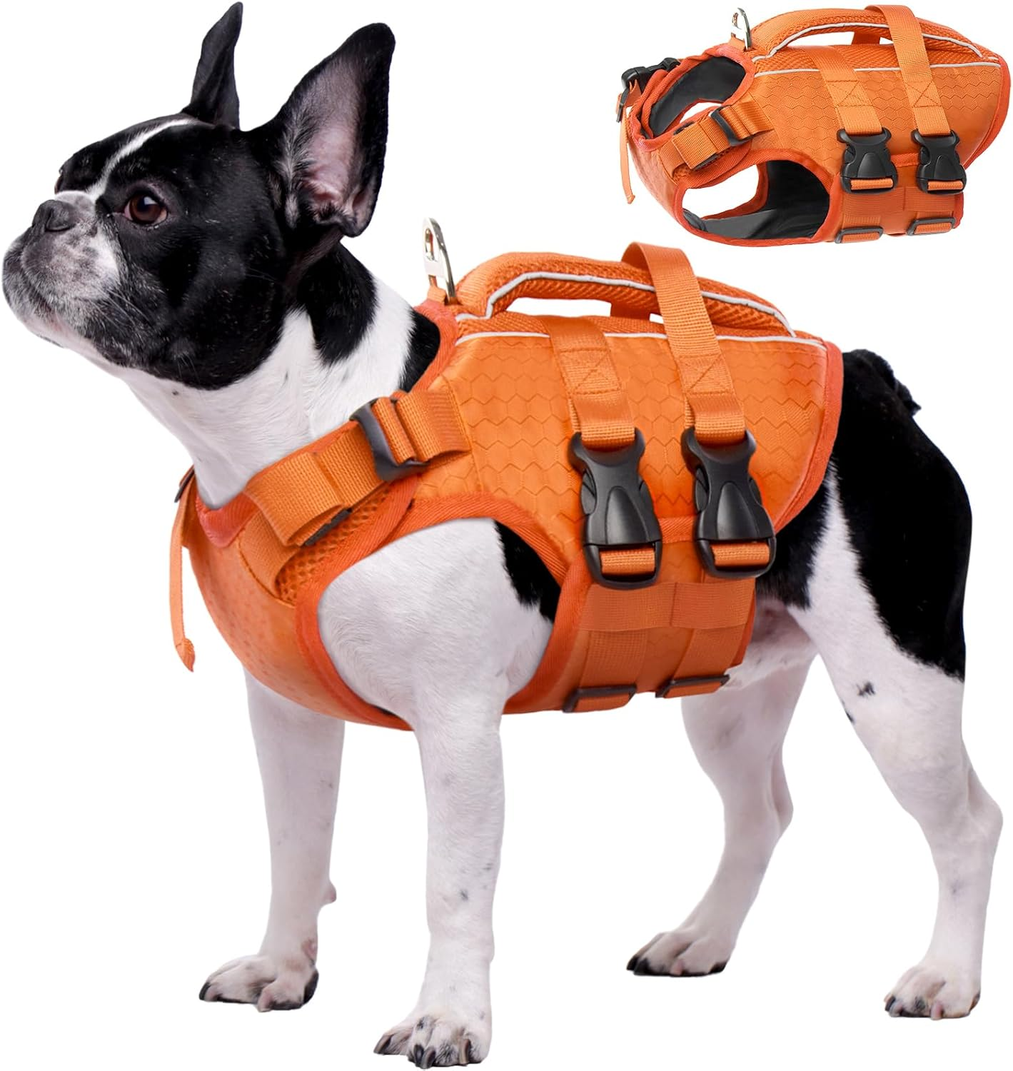 Kuoser Dog Life Jacket High Flotation, Reflective Dog Life Vest for Swimming Boating, Adjustable Small Medium Large Dog Lifejacket, Lightweight Dog Life Preserver Rescue Handle Spring Summer Pool