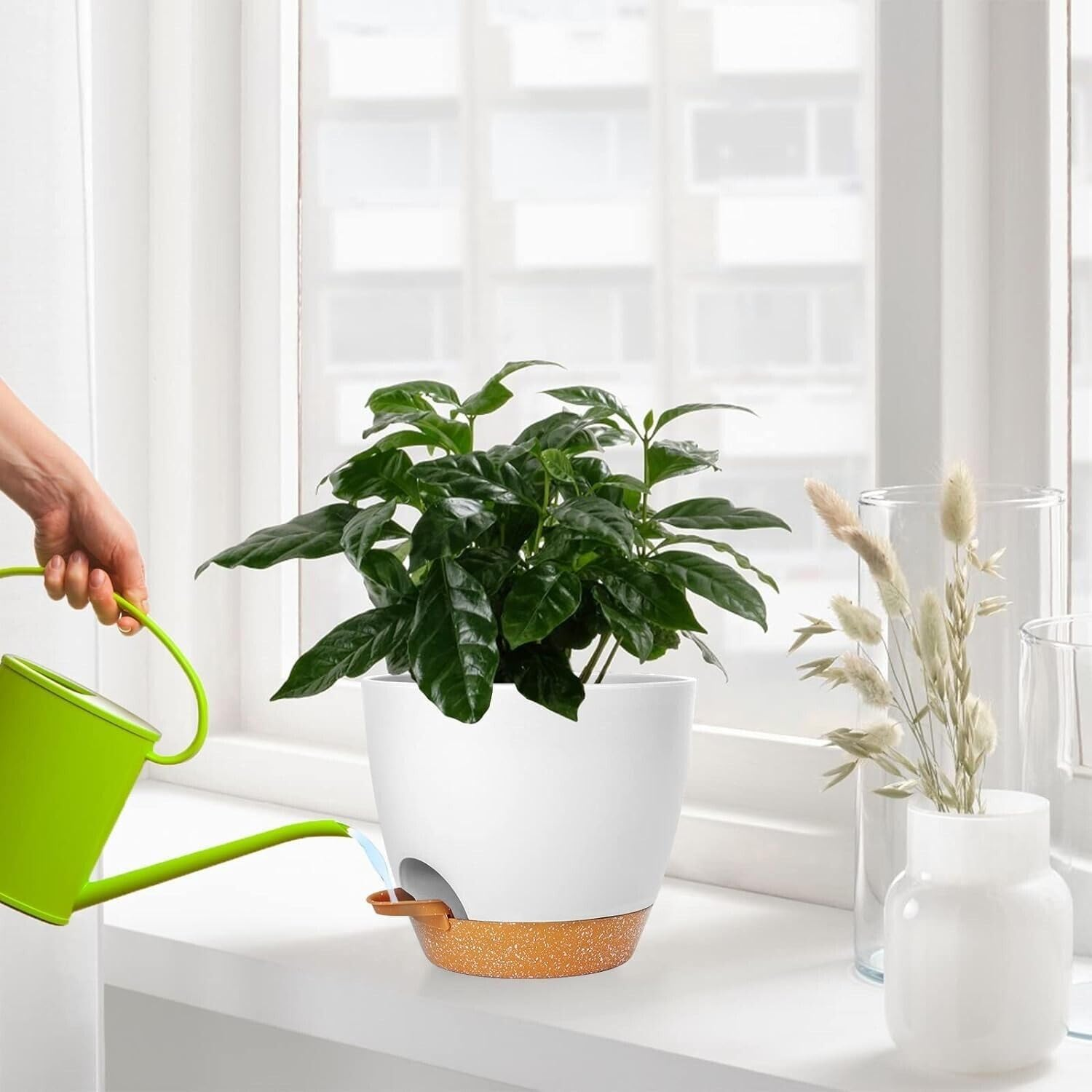 2 Pcs Self Watering Planter Garden Indoor Outdoor Plants Flower Pot 8 Inch White image number 3