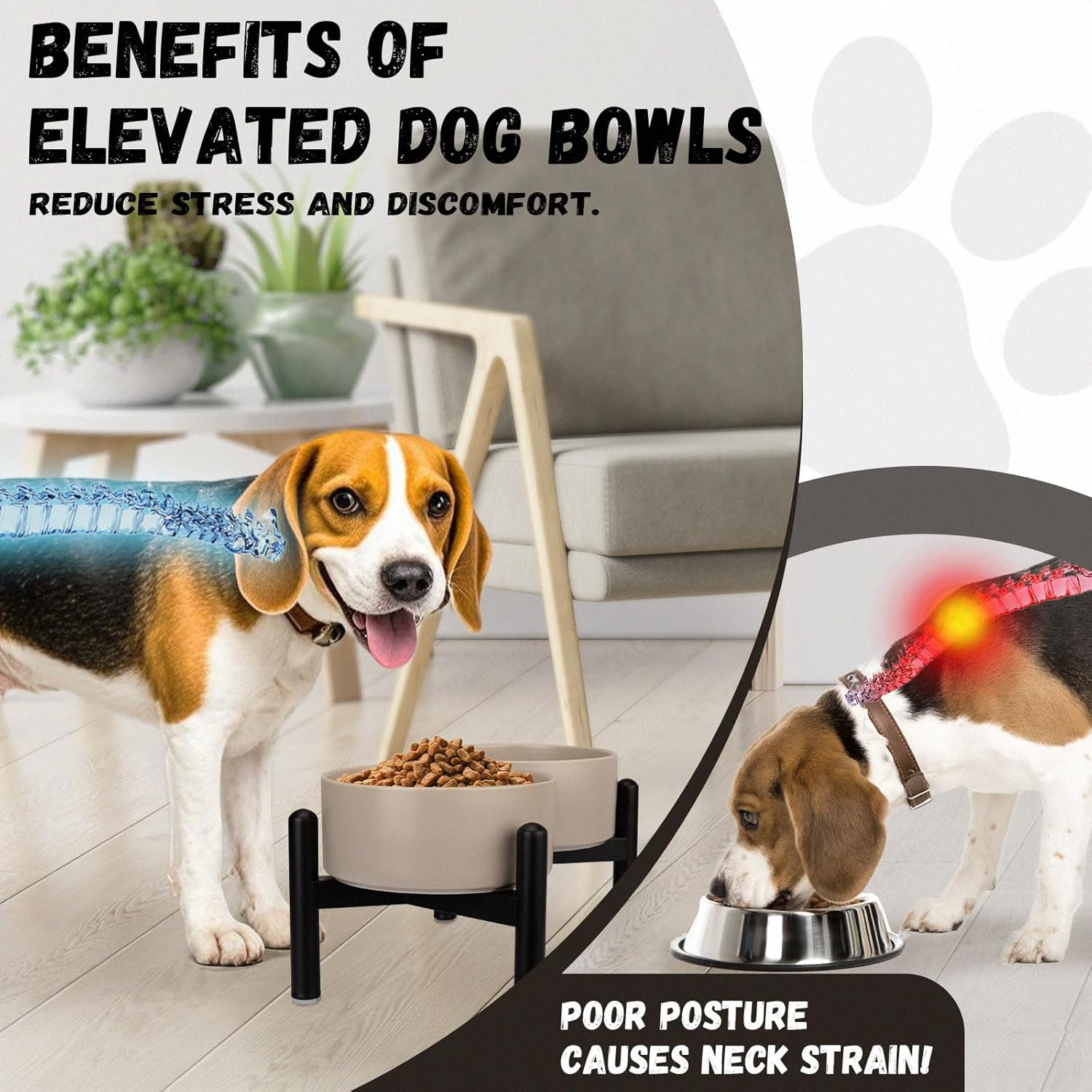Raised Ceramic Dog Bowl Set - Elevated Double Dishes with Stainless Steel Stand - Food and Water Bowls for Small to Medium Dogs - Each Holds 2 Cups (28.75 Fl Oz) - White image number 7