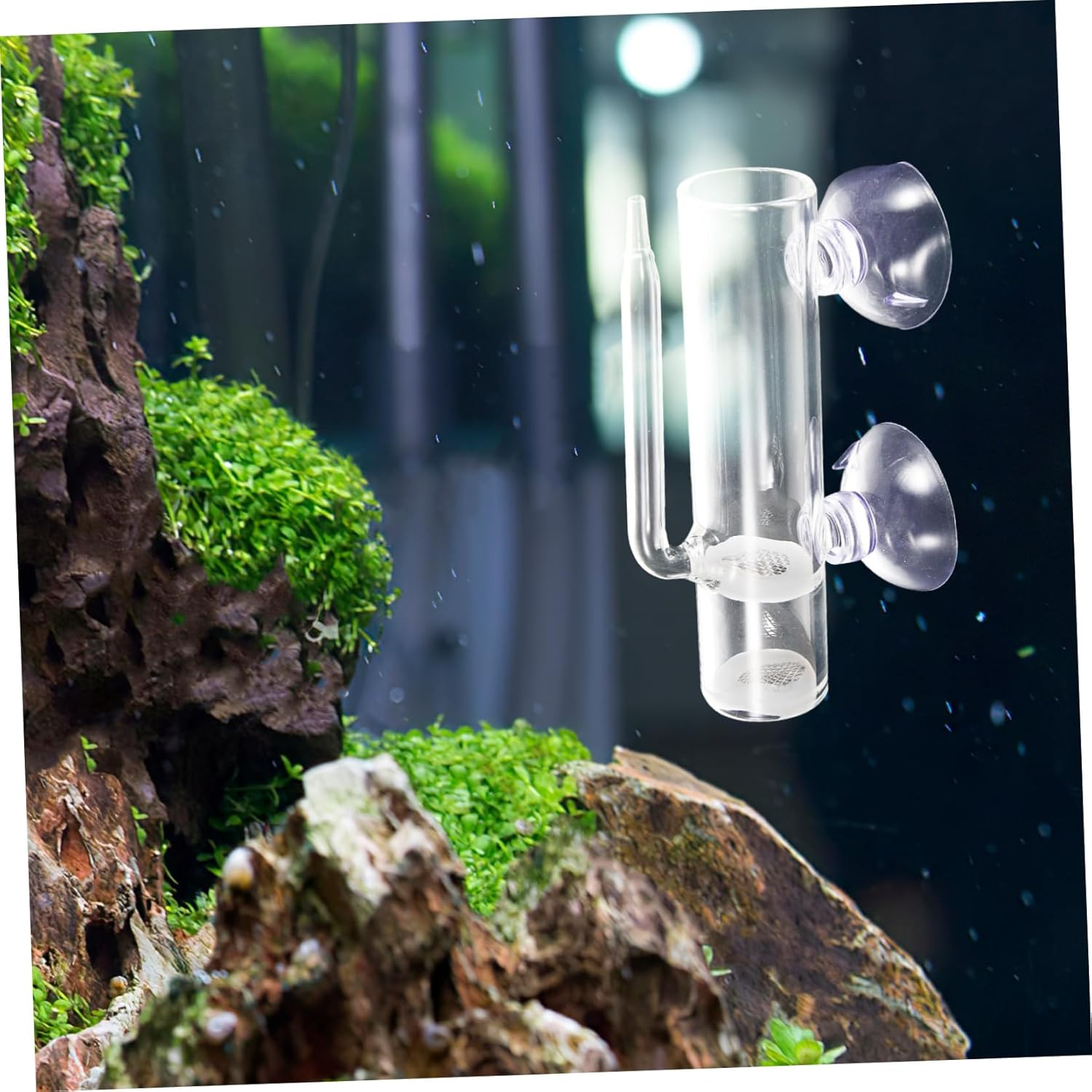 MINAOLULUS Brine Shrimp Hatchery Incubator Box Glass Suction Cup Fish Eggs Hatchery Isolation Tank Aquarium Breeding Container for Ornamental Fish and Aquatic Pets image number 2