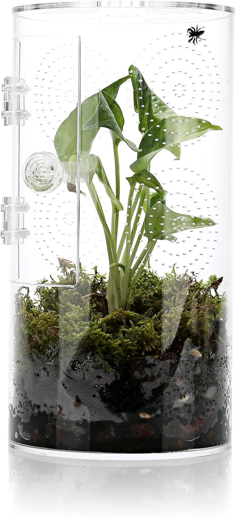 Jumping Spider Enclosure, 11.5&rdquo;*6&rdquo;*6&rdquo;, Air Hole 3/64" Micro Habitat Terrariums, Arboreal Reptile Tank with Front Opening Door,Tarantula Enclosure, Plant Greenhouse image number 4