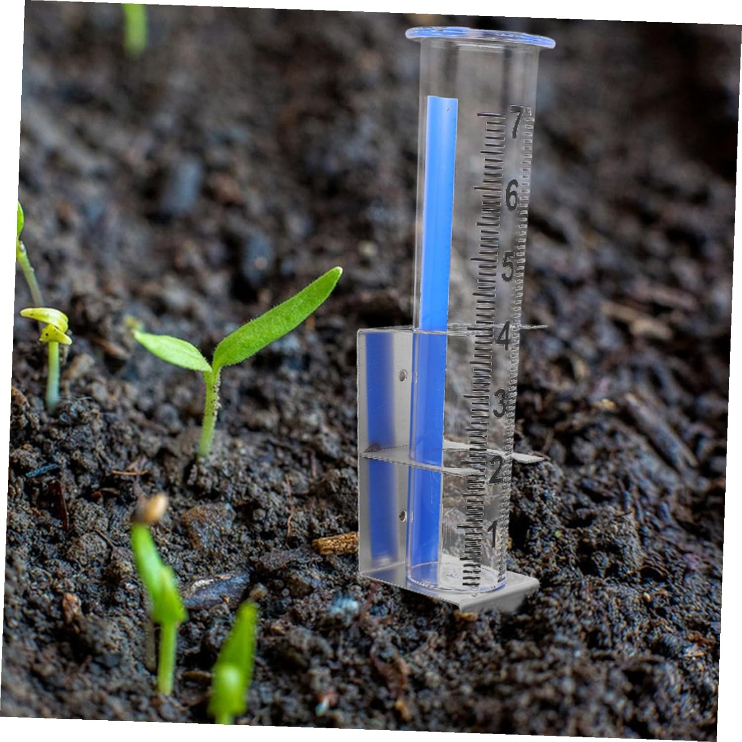 Alasum Outdoor Garden Rain Gauge with Mounting Bracket Large-Scale Rainfall Measuring Device Accurate Moisture Monitor for Lawn and Patio Weather Tracking image number 2