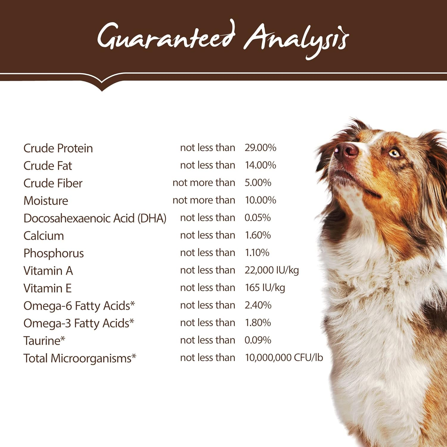 Holistic Select Natural Grain Free Dry Dog Food, Adult & Puppy Salmon, Anchovy & Sardine Recipe, 10.88Kg Bag image number 5