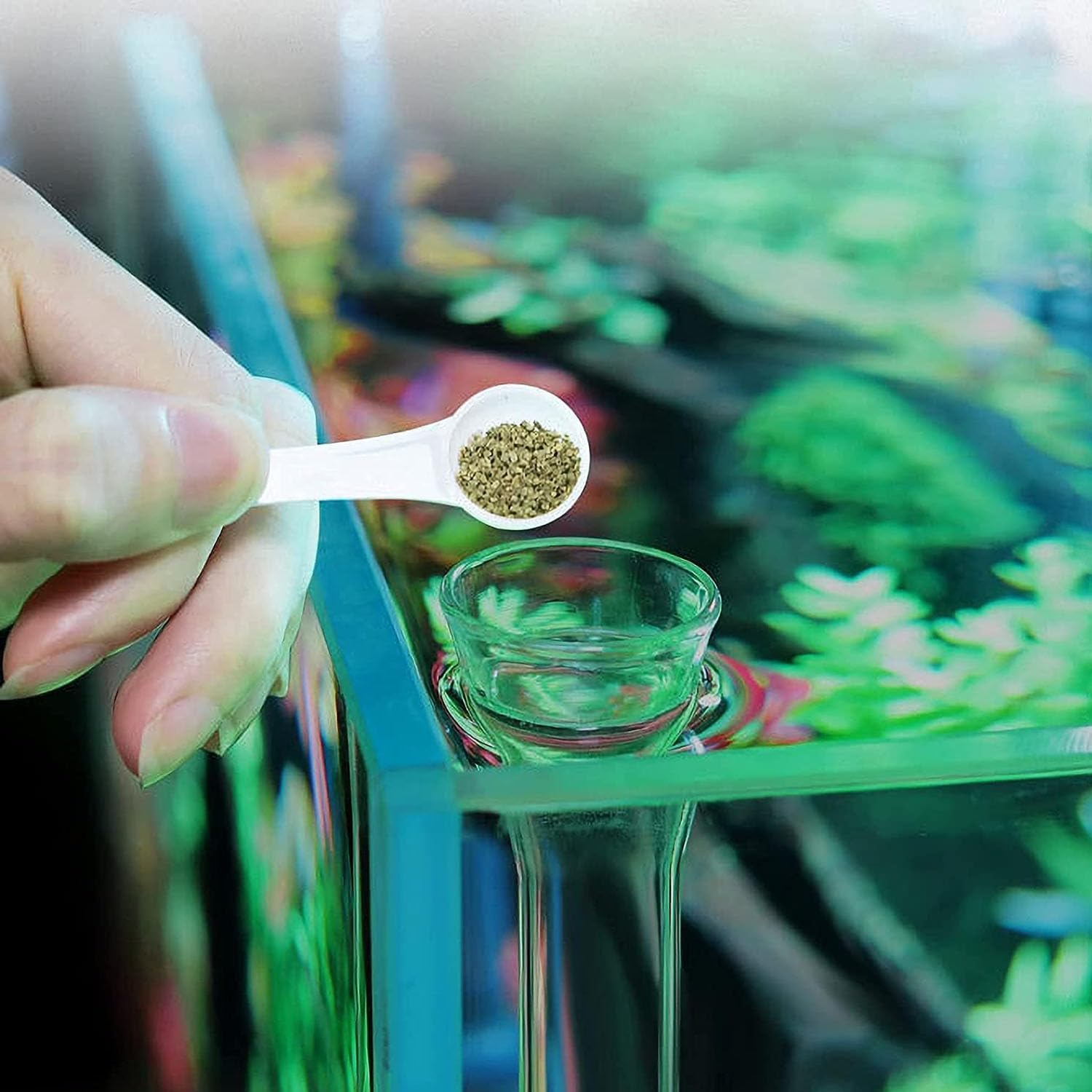 Mtxorvix Shrimp Feeding Tube and Dish, Fish Tank Feeding Ring, Glass Shrimp Feeding Tube and Dish for Aquarium Shrimp, Fish Tank Shrimp Feeder with Glass Bowl and Suction Cups (25CM) image number 5