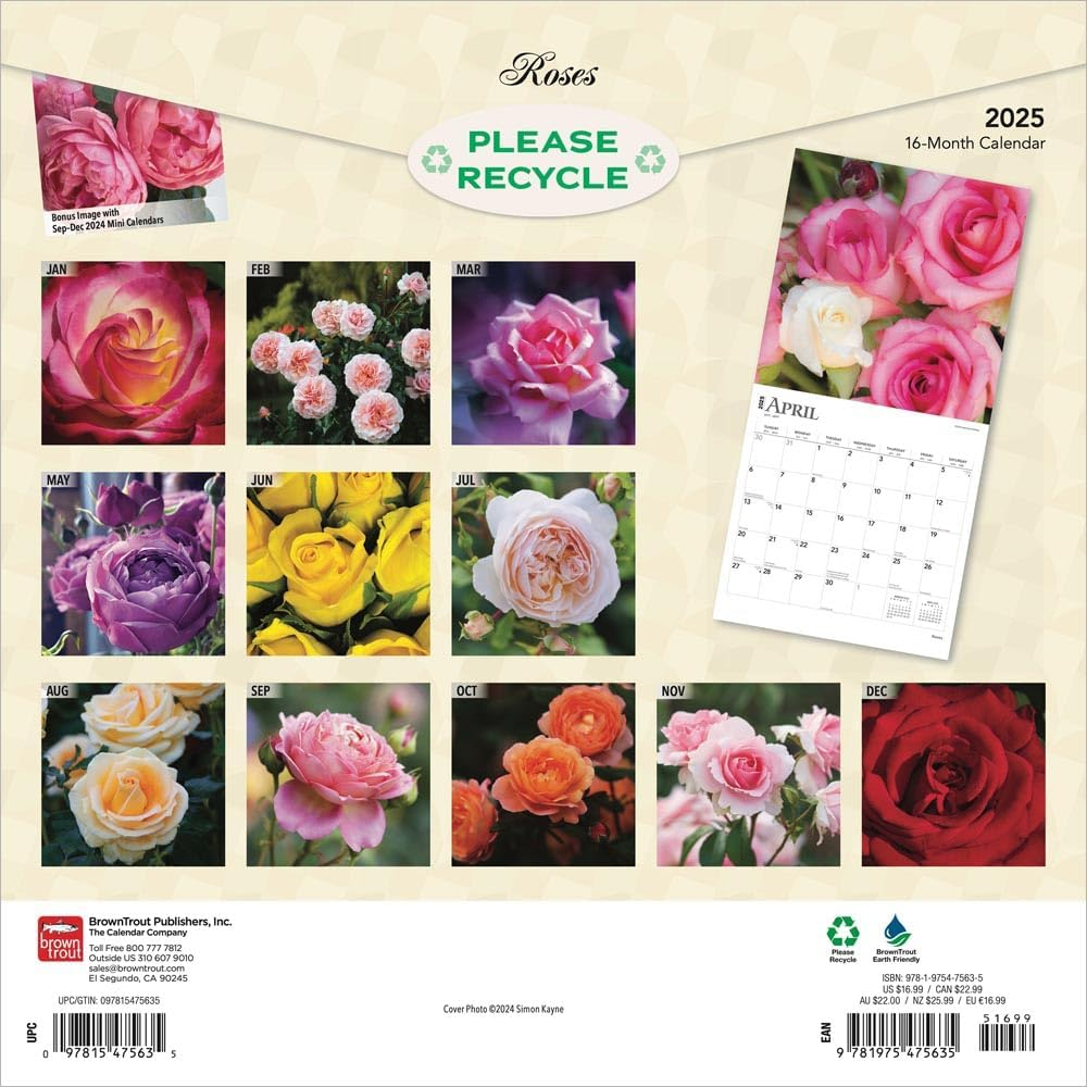 Roses | 2025 12 X 24 Inch Monthly Square Wall Calendar | Plastic-Free | Browntrout | Flower Floral Plant Outdoor Nature Gardening image number 3