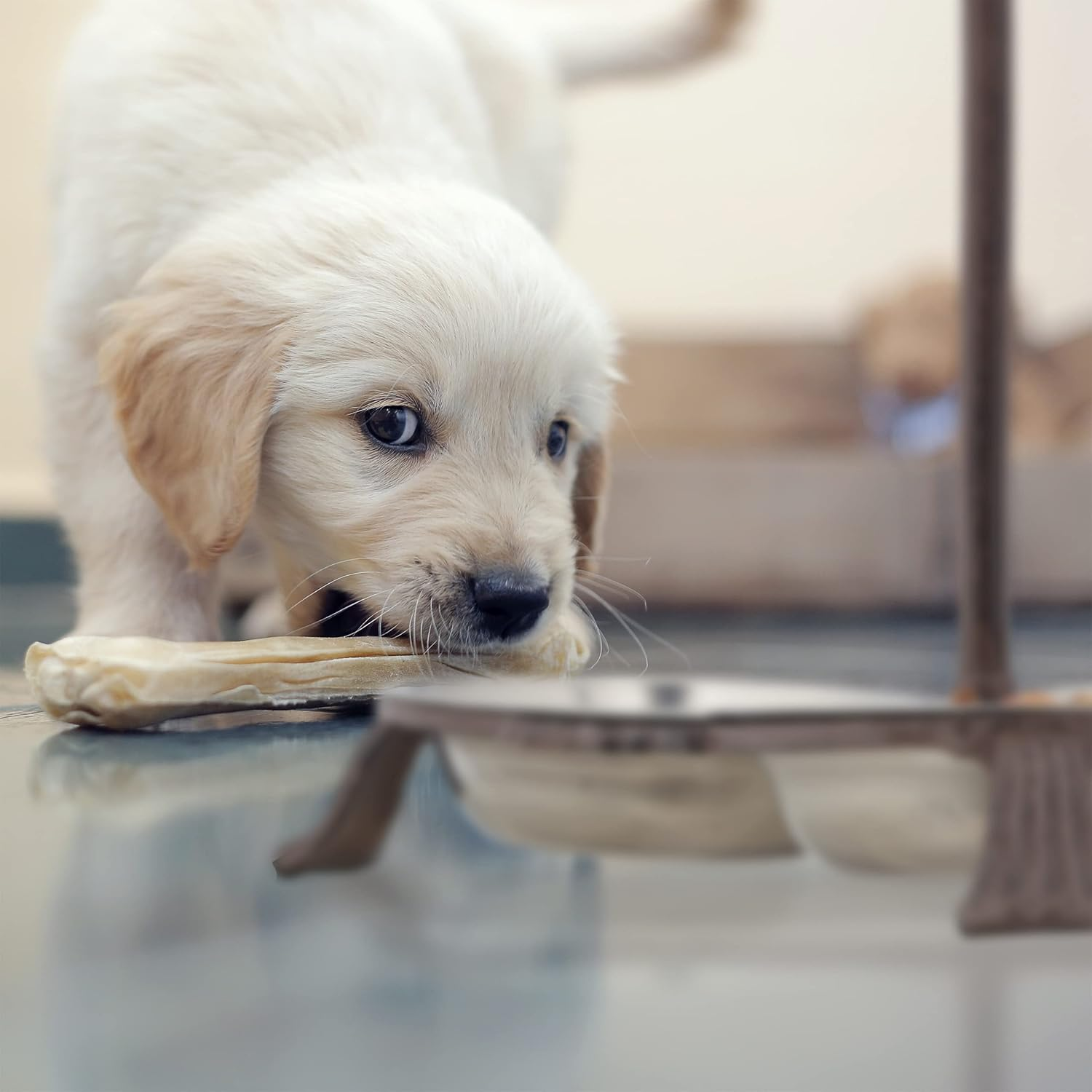 Relaxdays Cast Iron Feeding Station for Cats & Dogs, 3 Stainless Steel Bowls, Antique, Handle, Outdoor, Dark Brown, 37 X 31.5 X 30 Cm