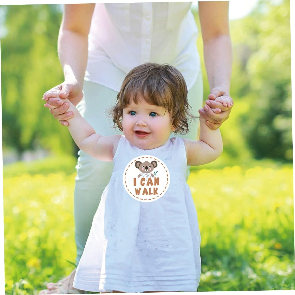 TEHAUX 24Pcs Milestone Sticker Set Adorable Animal Month Stickers for Newborns Creative Milestone Announcement Cards Reusable Design for Monthly Photo Album and Social Media Sharing