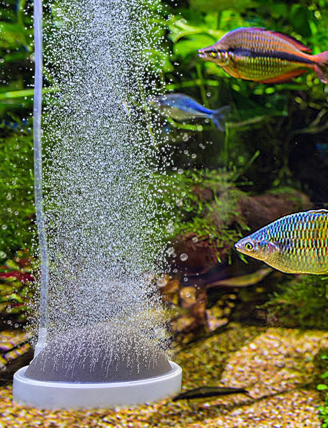 Boxtech Aquarium Air Stone, Oxygen Stone Nano Bubble Air Stone Decor, Aquarium Accessories Tiny Bubbles (100 Mm) image number 1