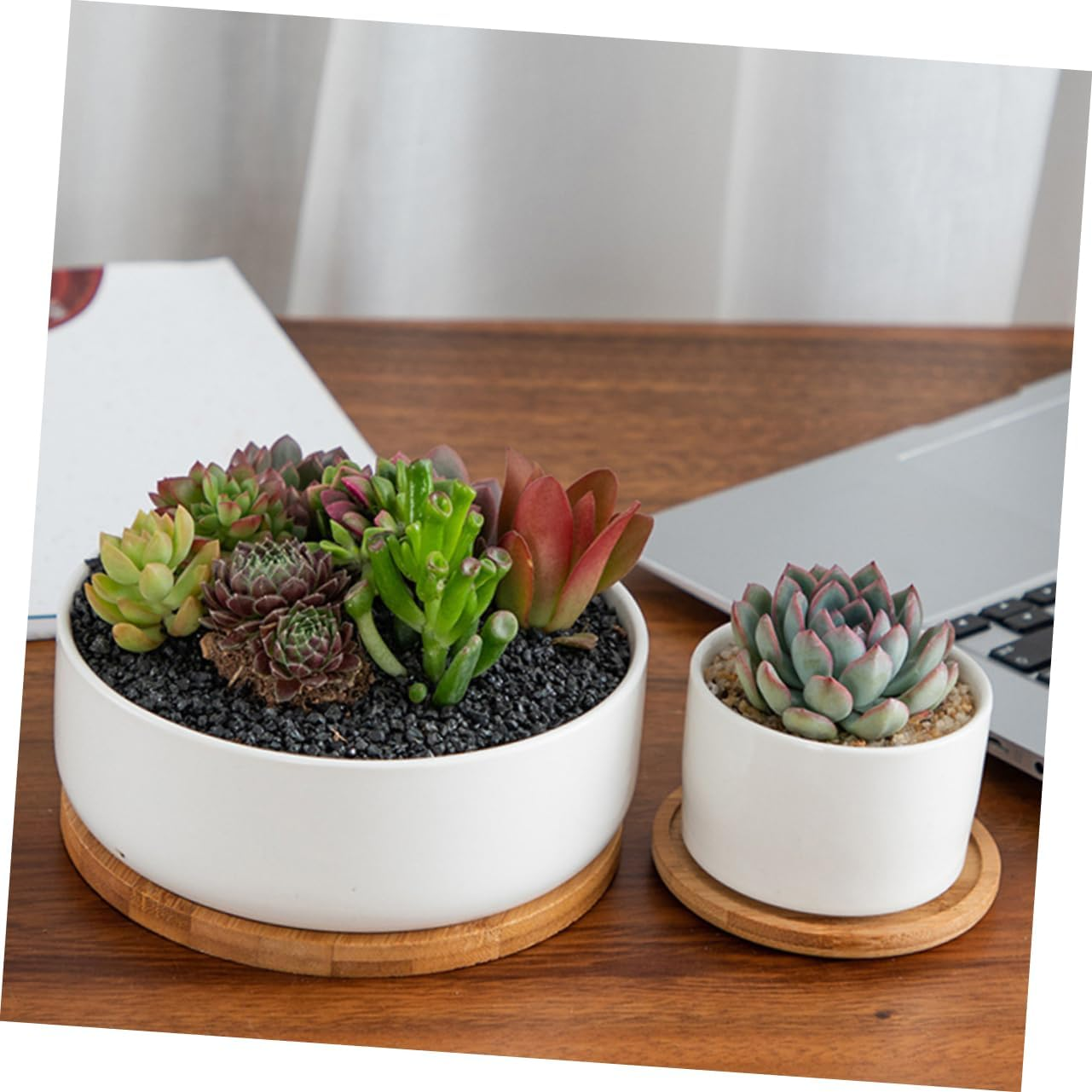 Flowerpot Tray Set 5Pcs for Home Gardening Includes Multiple Sizes 6.5-12Cm Diameter Non-Slip Water Plate for Indoor Plants and Ceramic Pots Sturdy Bamboo Bases image number 4
