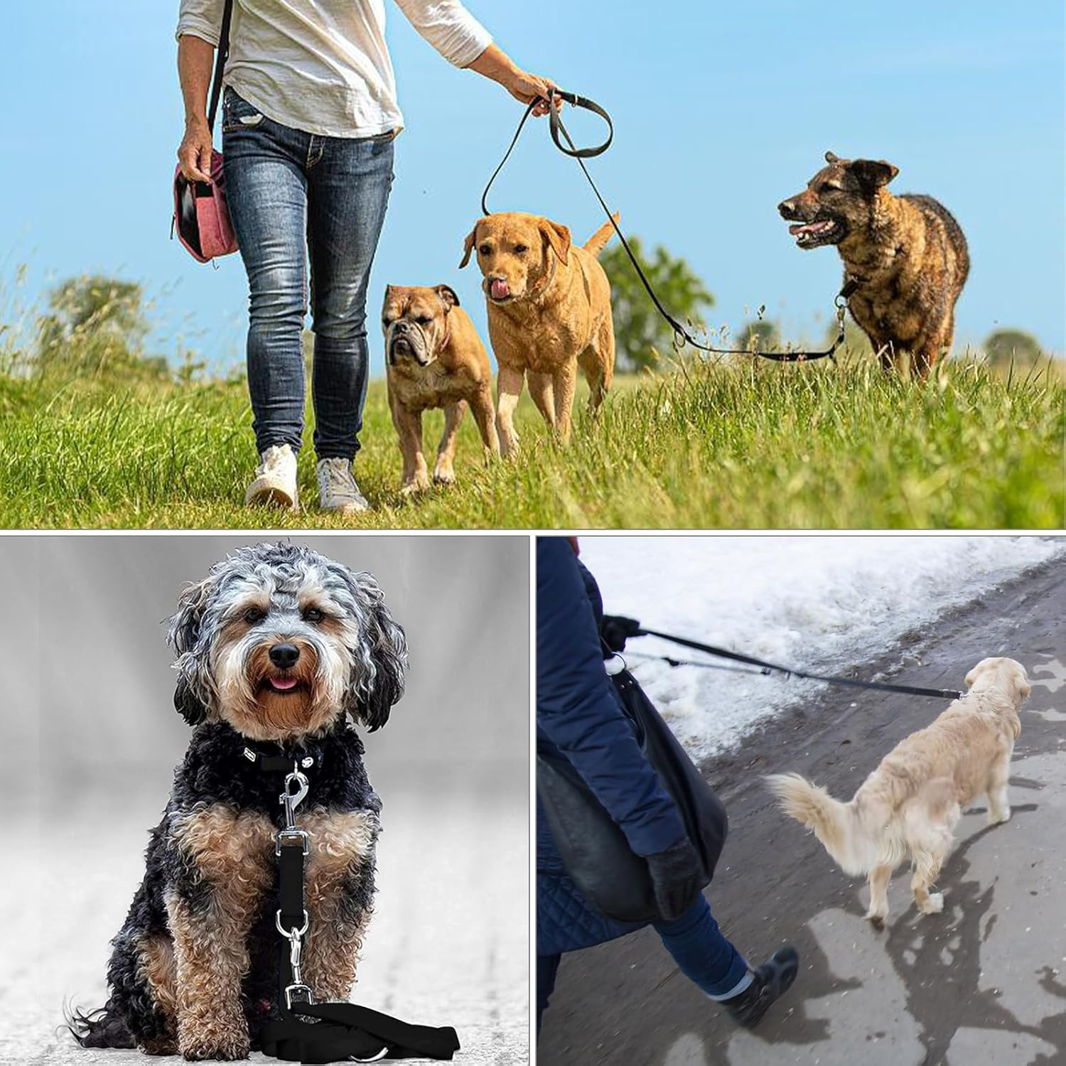 Dog Lead 210 X 2.5 Cm Adjustable Recall Lead with 2 Carabiners Adjustable Exercise Lead Lead Dog Lead Adjustable for Small, Medium Dogs Pet Trainer Lead Splitter image number 3