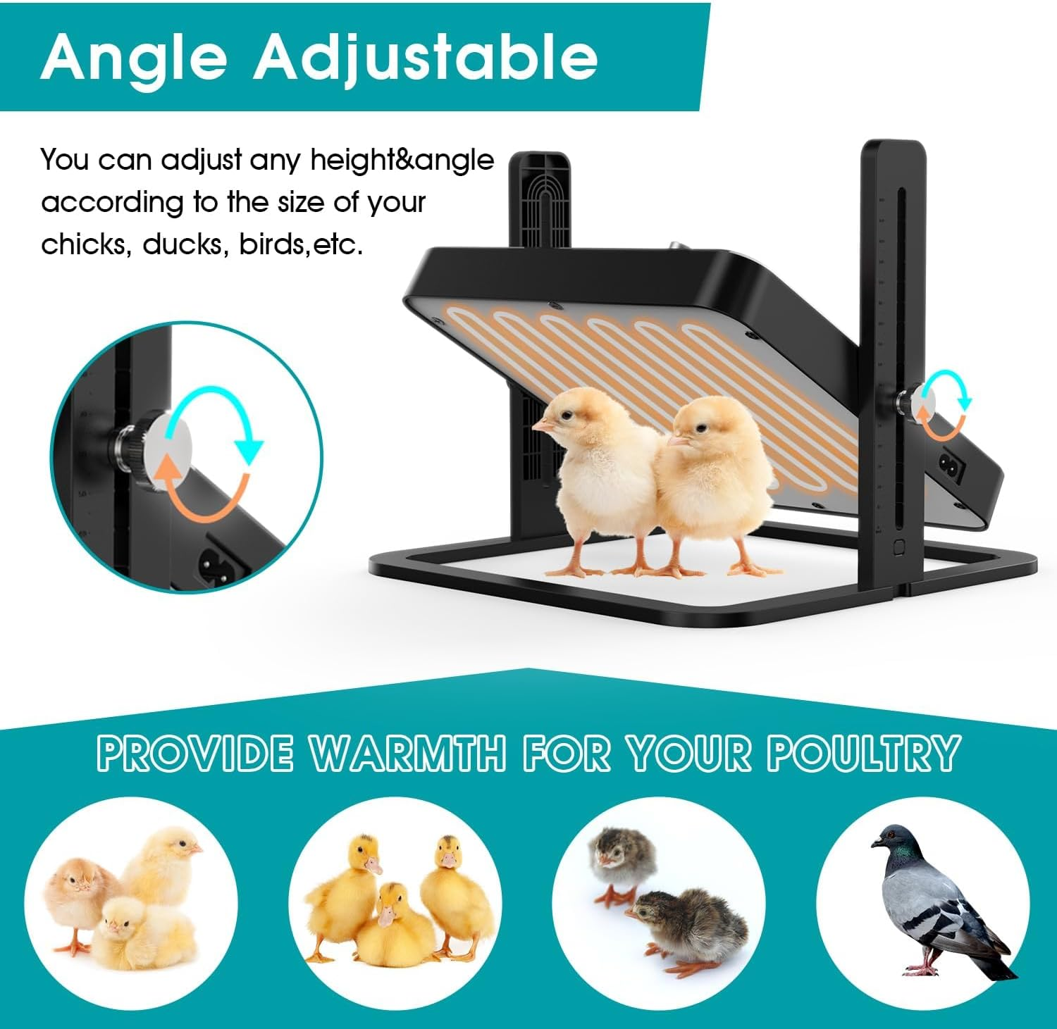 Upgraded Chicken Brooder Heating Plate with Adjustable Height & Angle, Thermostatic Control Chick Warmer Pad for Ducklings, Quail, and Birds (Temp-Adjust Brooder Heater) (Temp-Adjust) image number 5