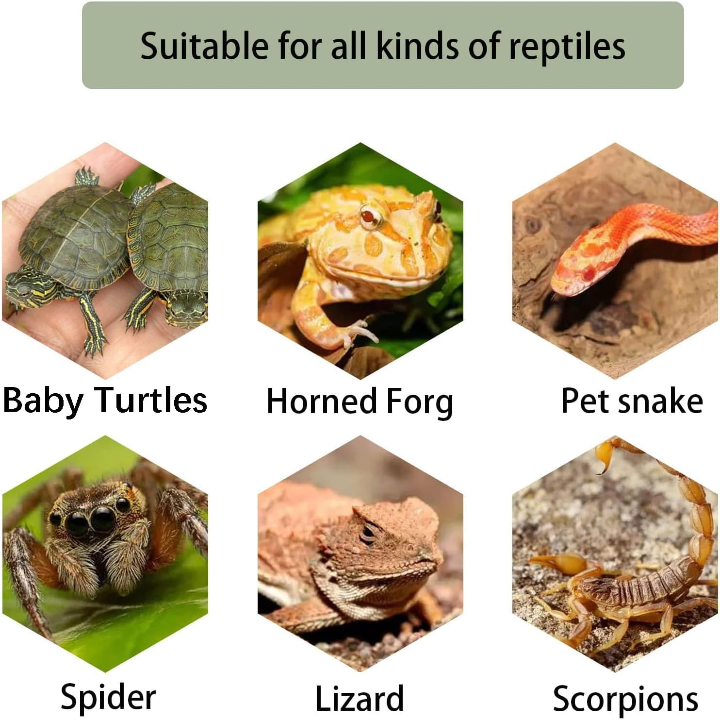 Kathson Turtle Basking Platform Baby Tortoise Climbing Ramp Shale Reptiles Dock Resting Terrace Stone Aquarium Ornament Rock Landscaping Decoration for Frogs Newts (Medium Size:8.2&rdquo;Lx3.3&rdquo;Wx3.1&rdquo;H) image number 4