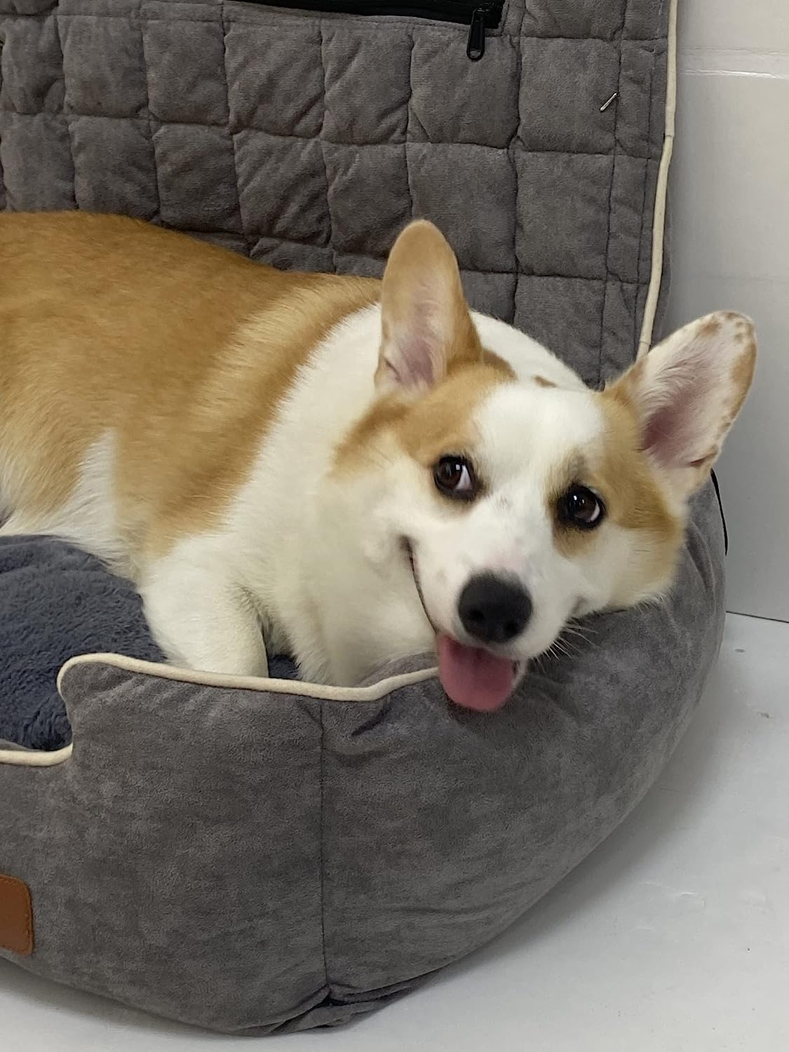 Bingopaw Small Dog Car Seat: Waterproof Pet Puppy Car Seat Booster Carrier with Seat Belt and Storage Pockets Travel Car Bed for Little Dogs, Grey image number 3