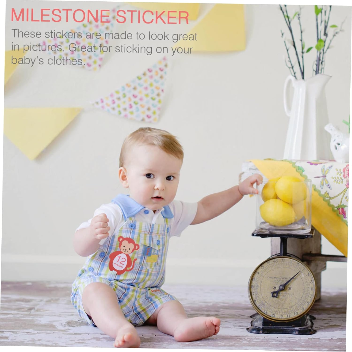 TEHAUX 24Pcs Milestone Decals Self Adhesive Animal Stickers for Photo Memories and Growth Tracking Shower Decoration image number 3