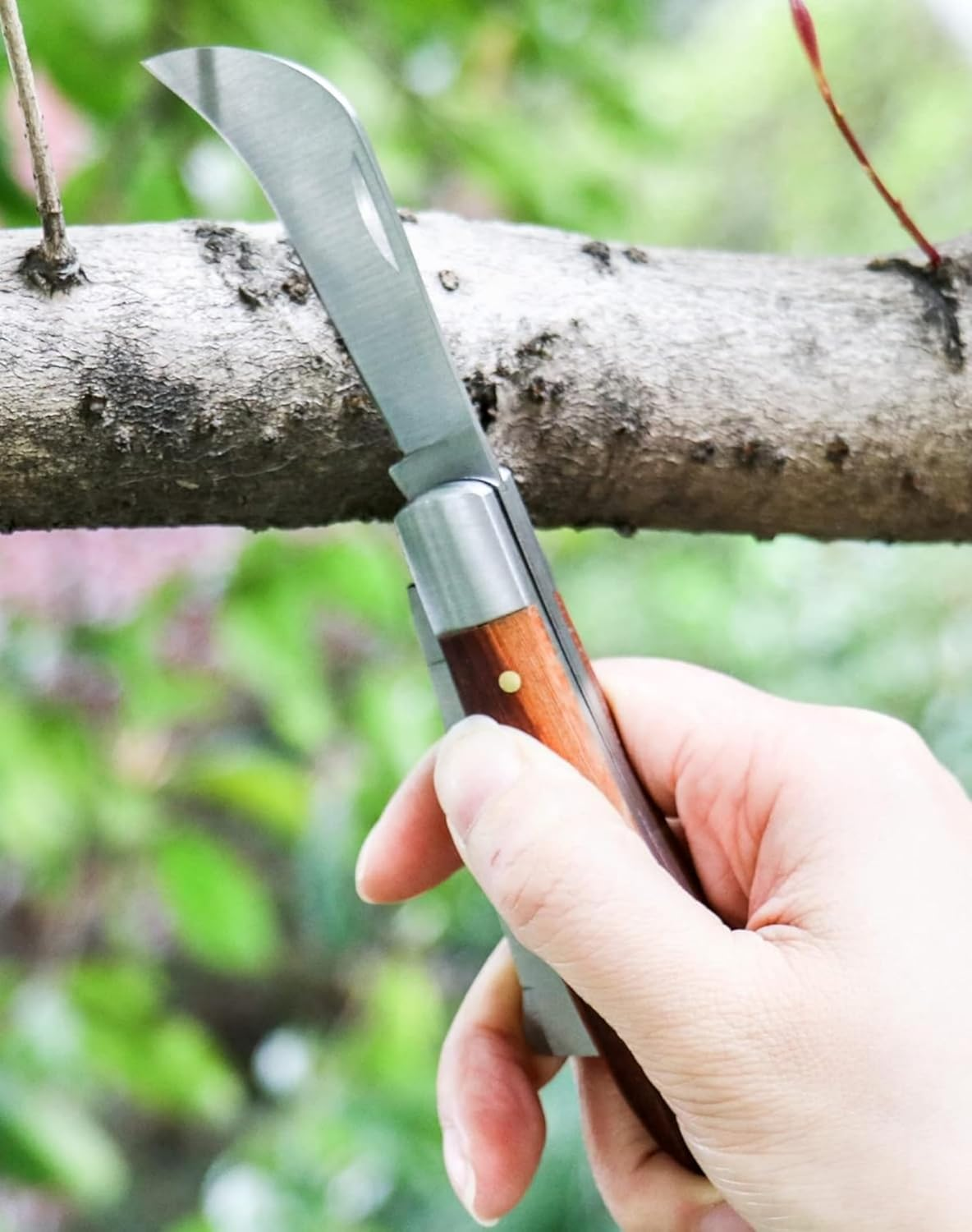 Stainless Steel Grafting Knife Kit, Flexible Double-Blade Garden Knife for Budding and Pruning, Includes 2 Plant Repair Tapes for Floral and Fruit Trees image number 4