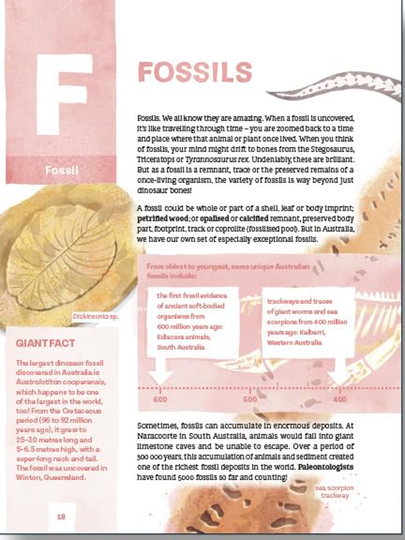 Every Rock Has a Story: an a to Z of Australian Geology image number 1