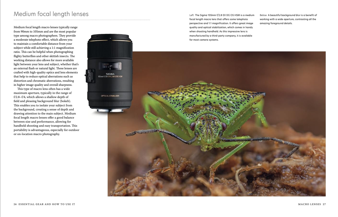 Close-Up: the Complete Guide to Macro Photography image number 3