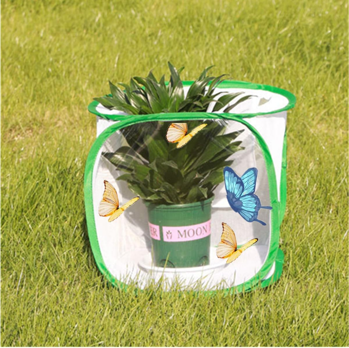 Outdoor Pop-Up Insect Butterfly Habitat Cage,Collapsible Mesh Cage Terrarium with Clear View,Insect Enclosure,40&times;40&times;60Cm image number 1