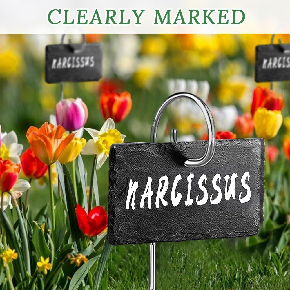 Plant Labels,Nursery Stake Tags Marker,Fruit Tree Labels,Weatherproof Reusable,With Stainless Steel Metal Rod,For Flowers,Herbs,Vegetables,Nursery,Garden Potting