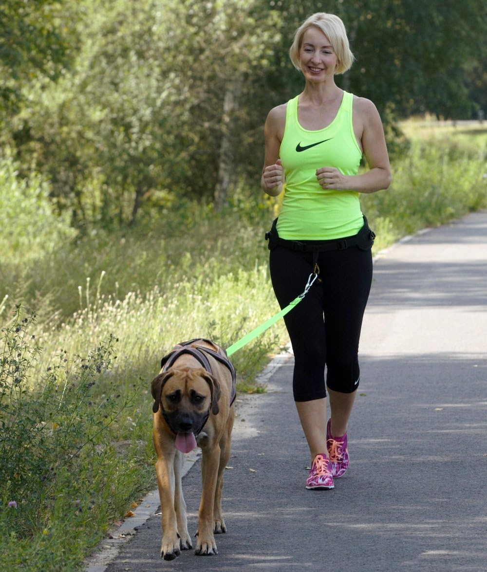 Dingo Universal Shock-Absorber Canicross Leash with 2 Hooks for Running, Jogging, Training Sport with Dog, Handsfree Lead Pink 14697 image number 3