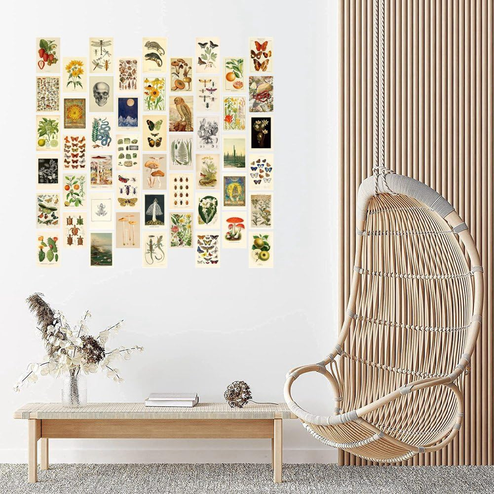 Ceahoify Vintage Aesthetic Wall Collage Kit - 50 Mini Botanical Collage Art Posters (4X6Inch), for Photo Wall image number 4