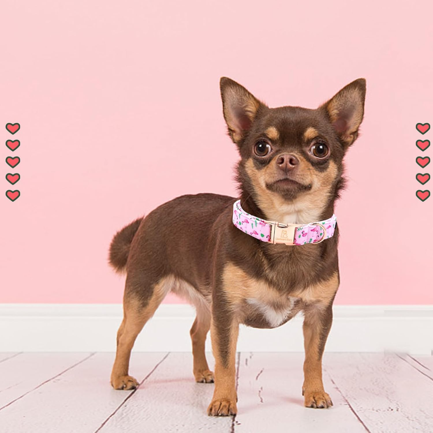 Lionheart Glory Pink Dog Collar Peach Dog Collar Girls Soft Durable Adjustable Puppy Gift Collar Spring Collar Dog Cute Dog Collars image number 2