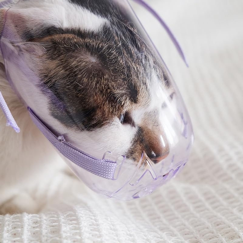 Transparent Cat Muzzles Anti-Bite Nail Trimming Bathing Adjustable Breathable Muzzle Puppy Mouth for All Cat and Pointed Mouth Dog Prevent Biting Chewing Barking Training (S) image number 2