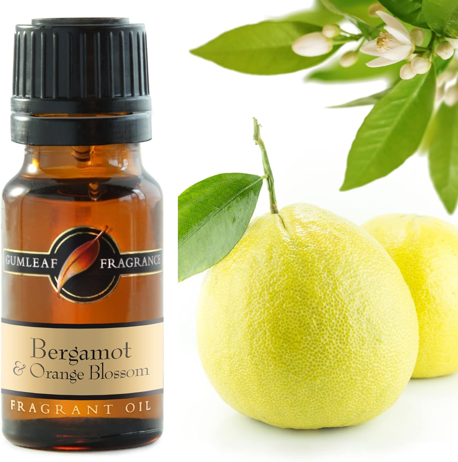 Gumleaf Fragrance Bergamot & Orange Blossom Fragrant Oil - 10Ml, Cruelty Free & Vegan, Phthalate-Free Fragrance