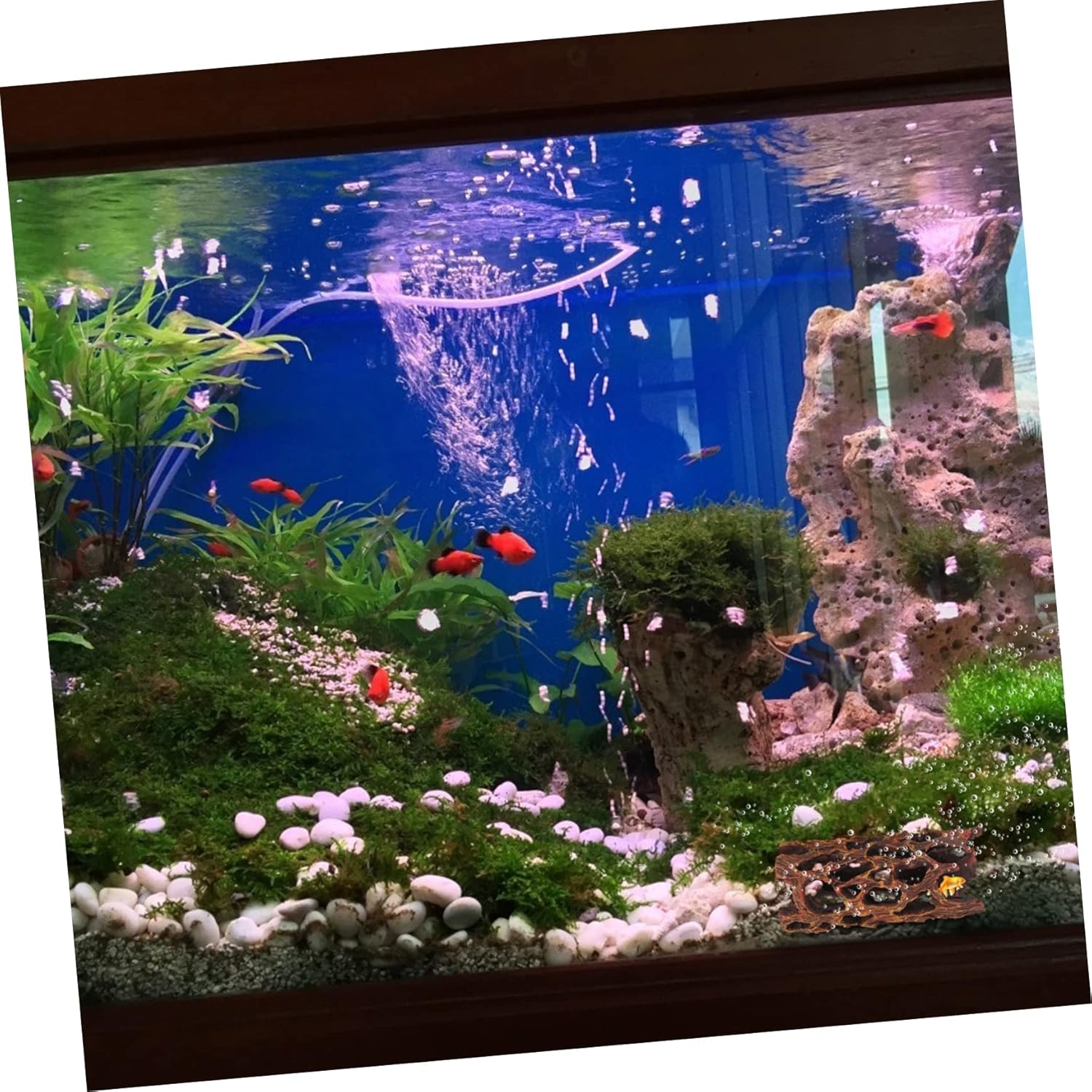 VERDANVERSE 2Pcs Aquarium Cave Hideout Decor Fish Tank Landscape Adornments Tree Ornaments for Pet Fish image number 1