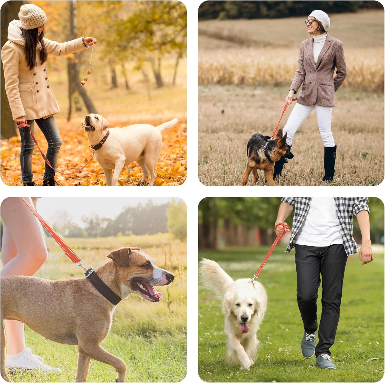 LIEVUIKEN Dog Leash 4Ft Long, Double Handle Dog Leash for Safety Control Training, Heavy Duty Dog Leads with Traffic Padded Handles, Reflective Leashes for Small Medium Large Dogs(4Ft, Orange) image number 2