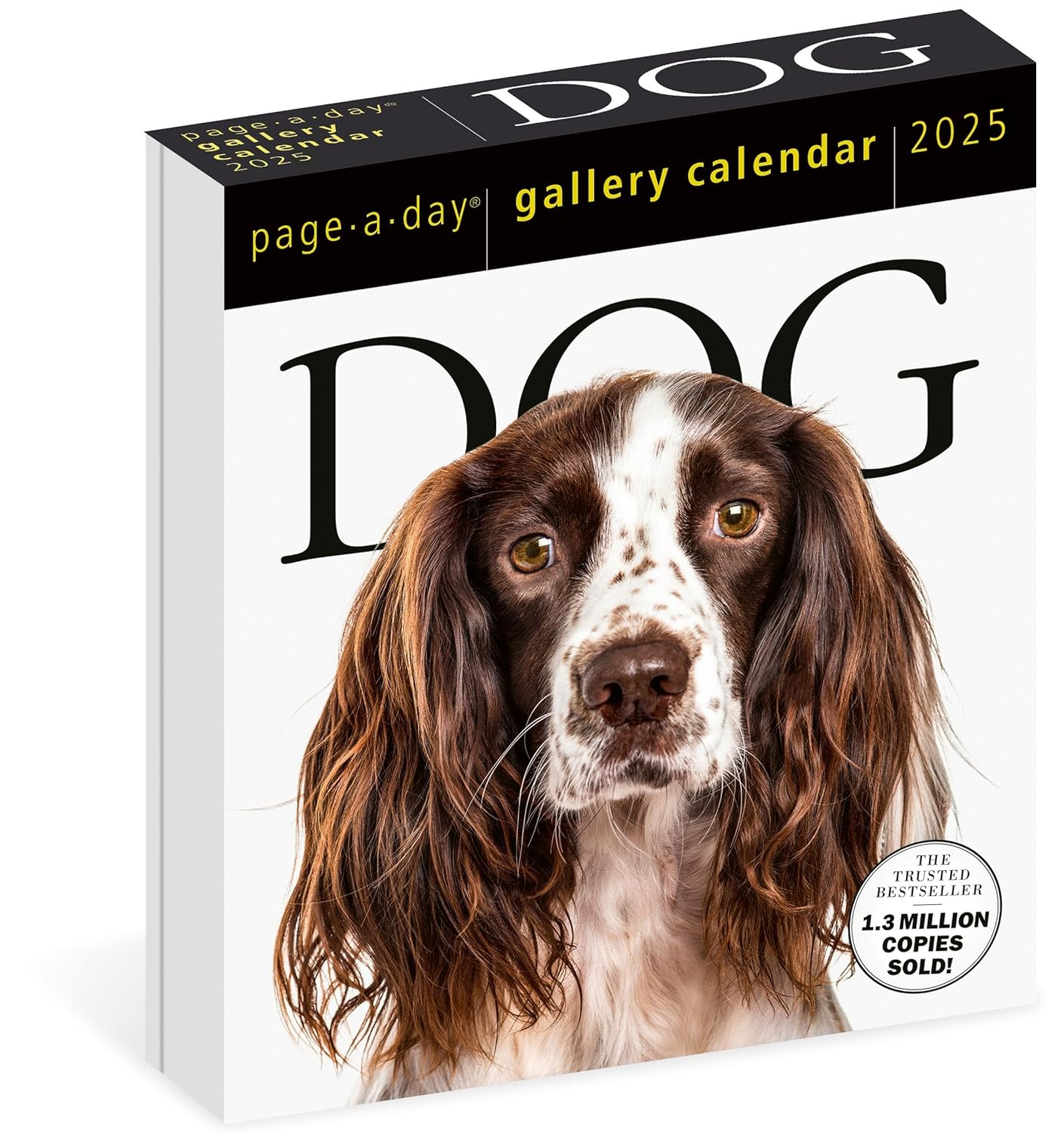 Dog Page-A-Day Gallery Calendar 2025: an Elegant Canine Celebration image number 2